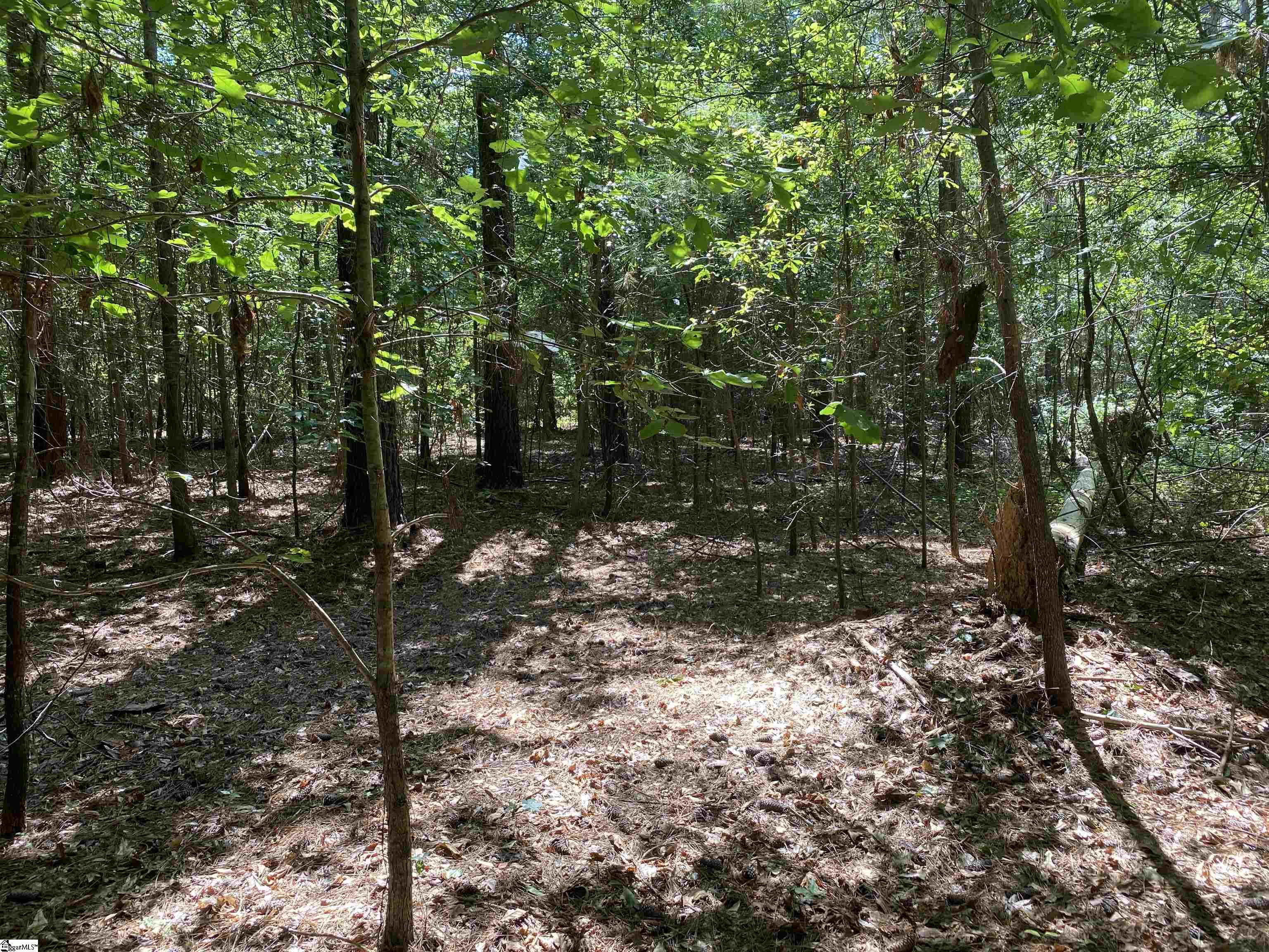 0 Sandy Springs Road Property Photo 5