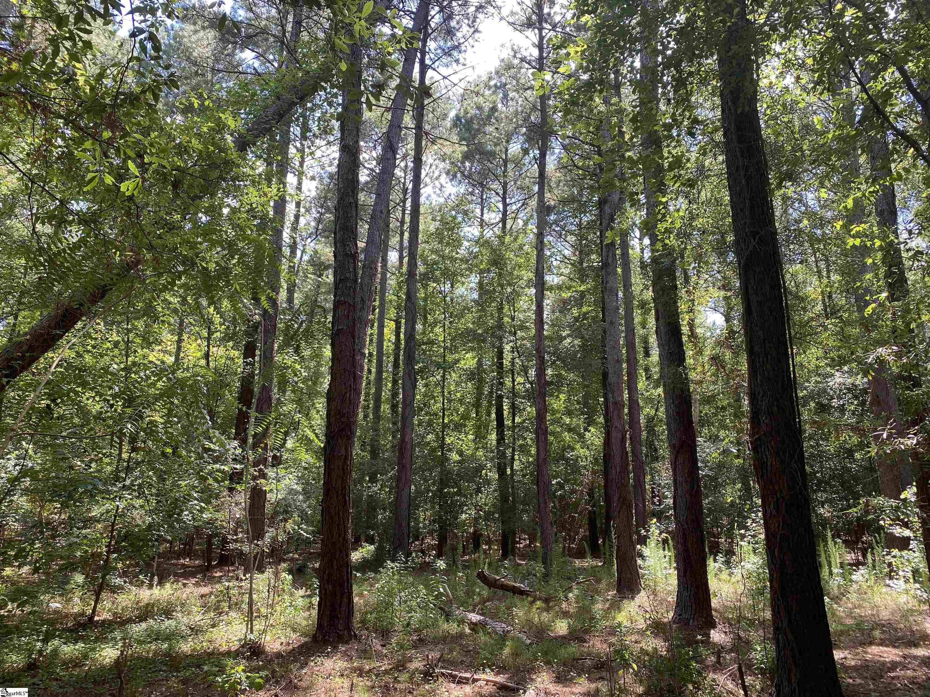 0 Sandy Springs Road Property Photo 6