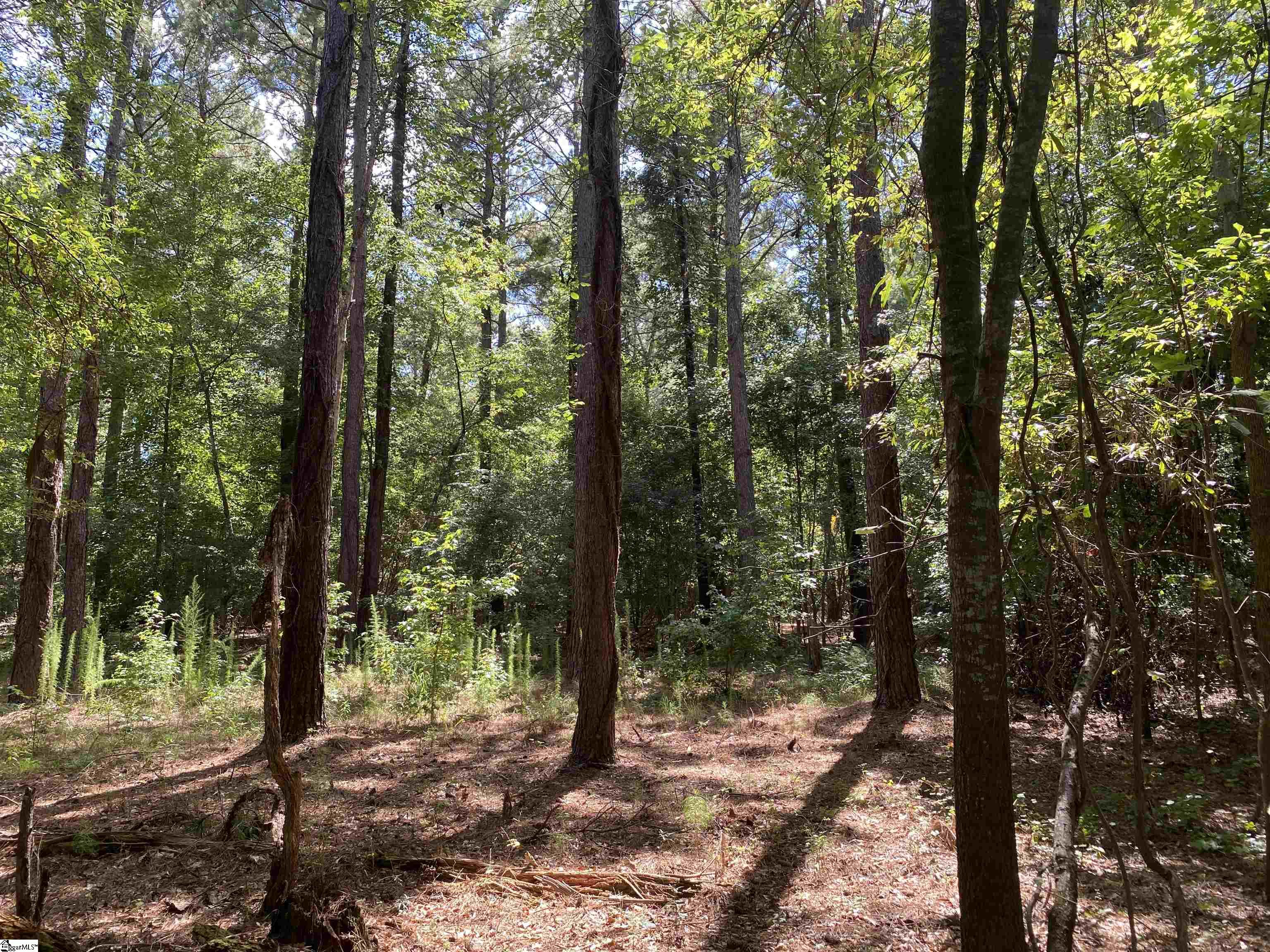 0 Sandy Springs Road Property Photo 7