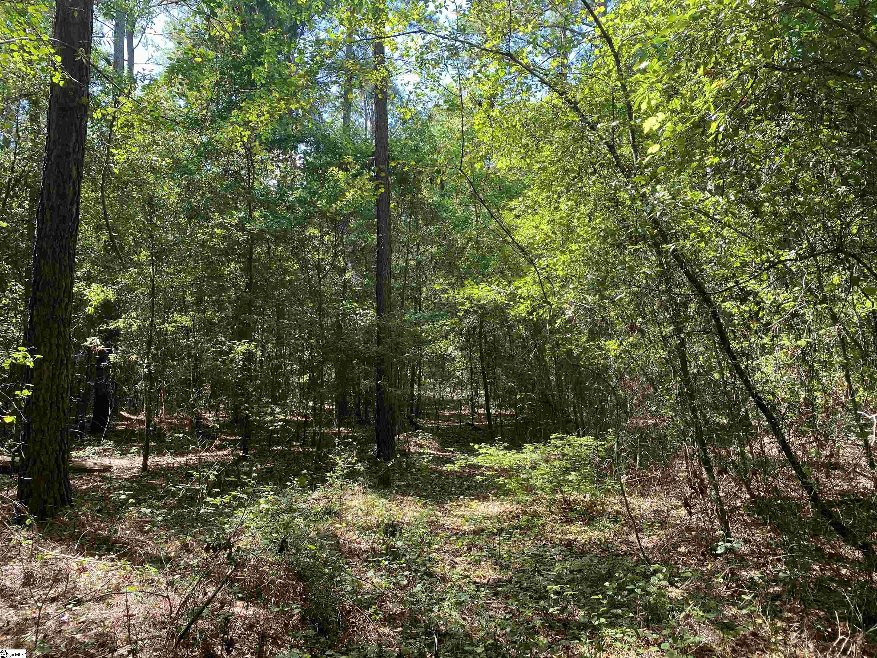 0 Sandy Springs Road Property Photo 8