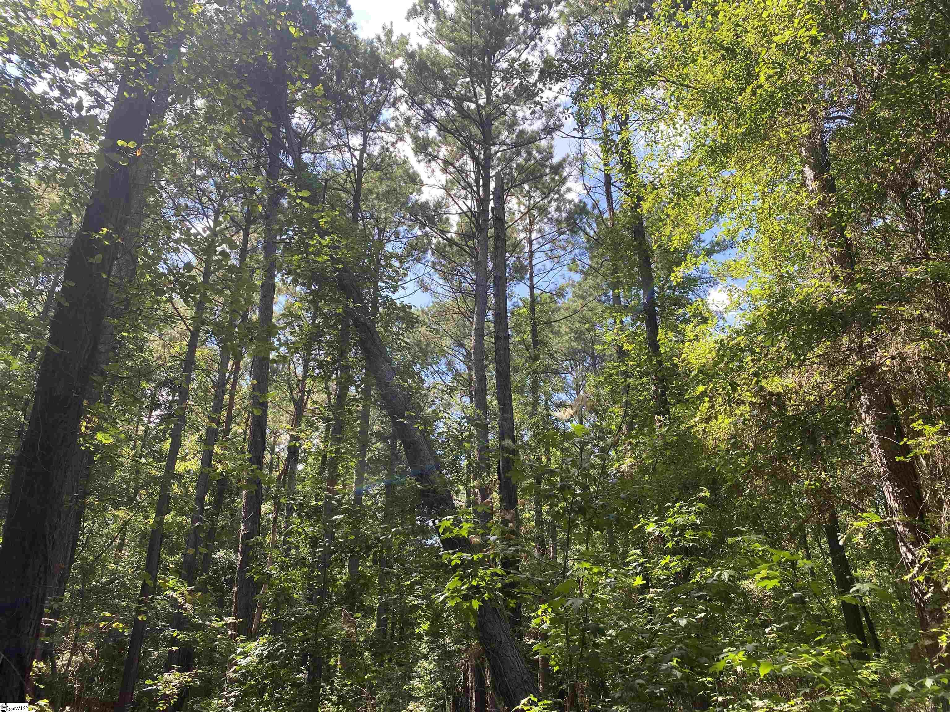 0 Sandy Springs Road Property Photo 9