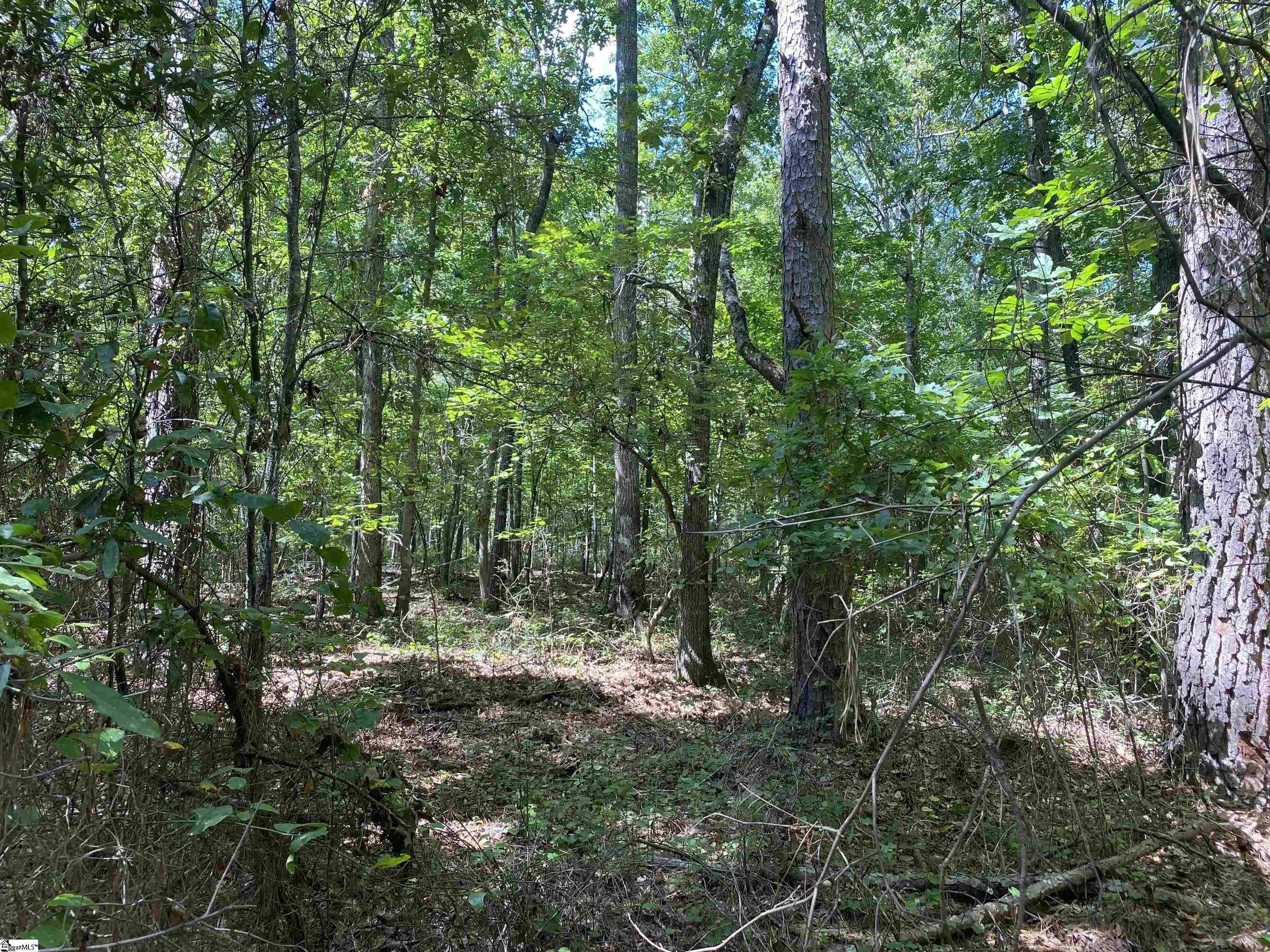 0 Sandy Springs Road Property Photo 10