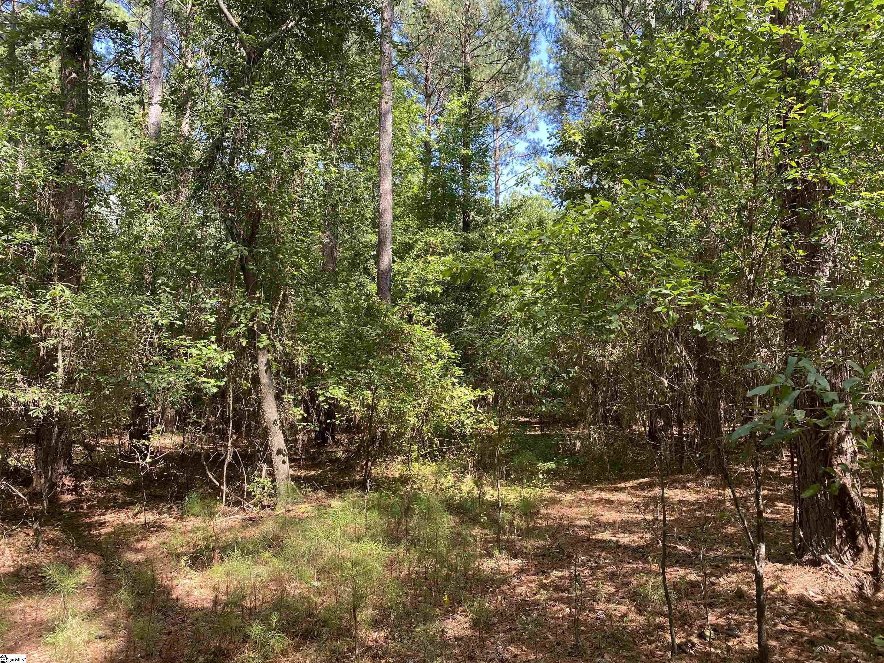 0 Sandy Springs Road Property Photo 12