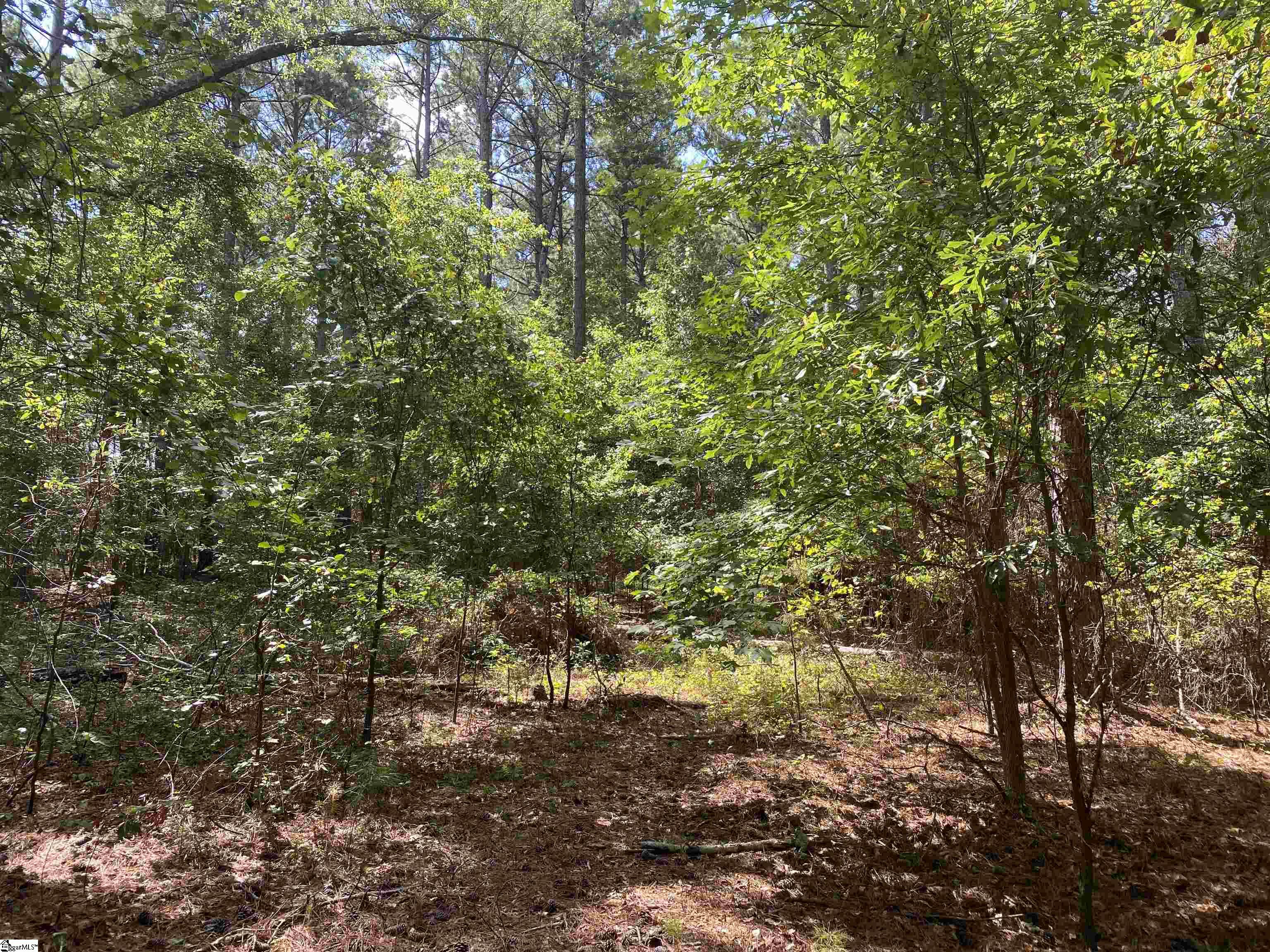0 Sandy Springs Road Property Photo 13