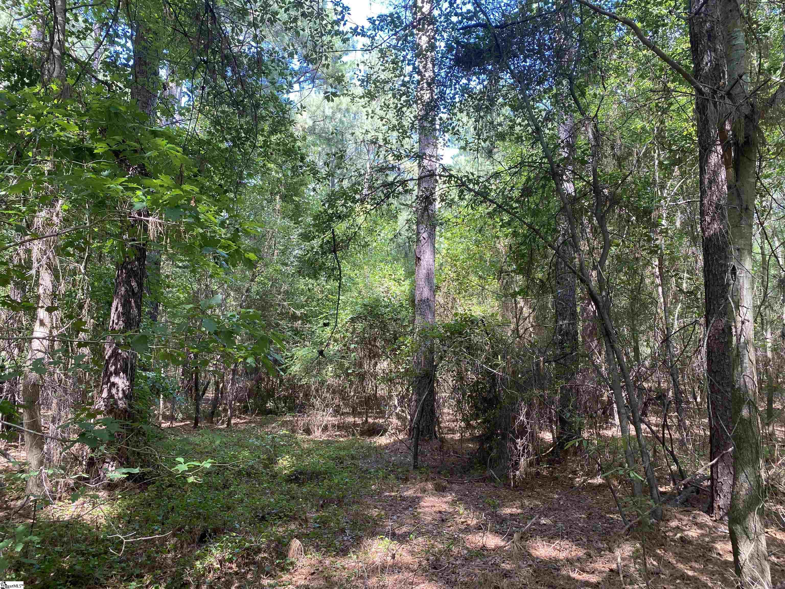 0 Sandy Springs Road Property Photo 14