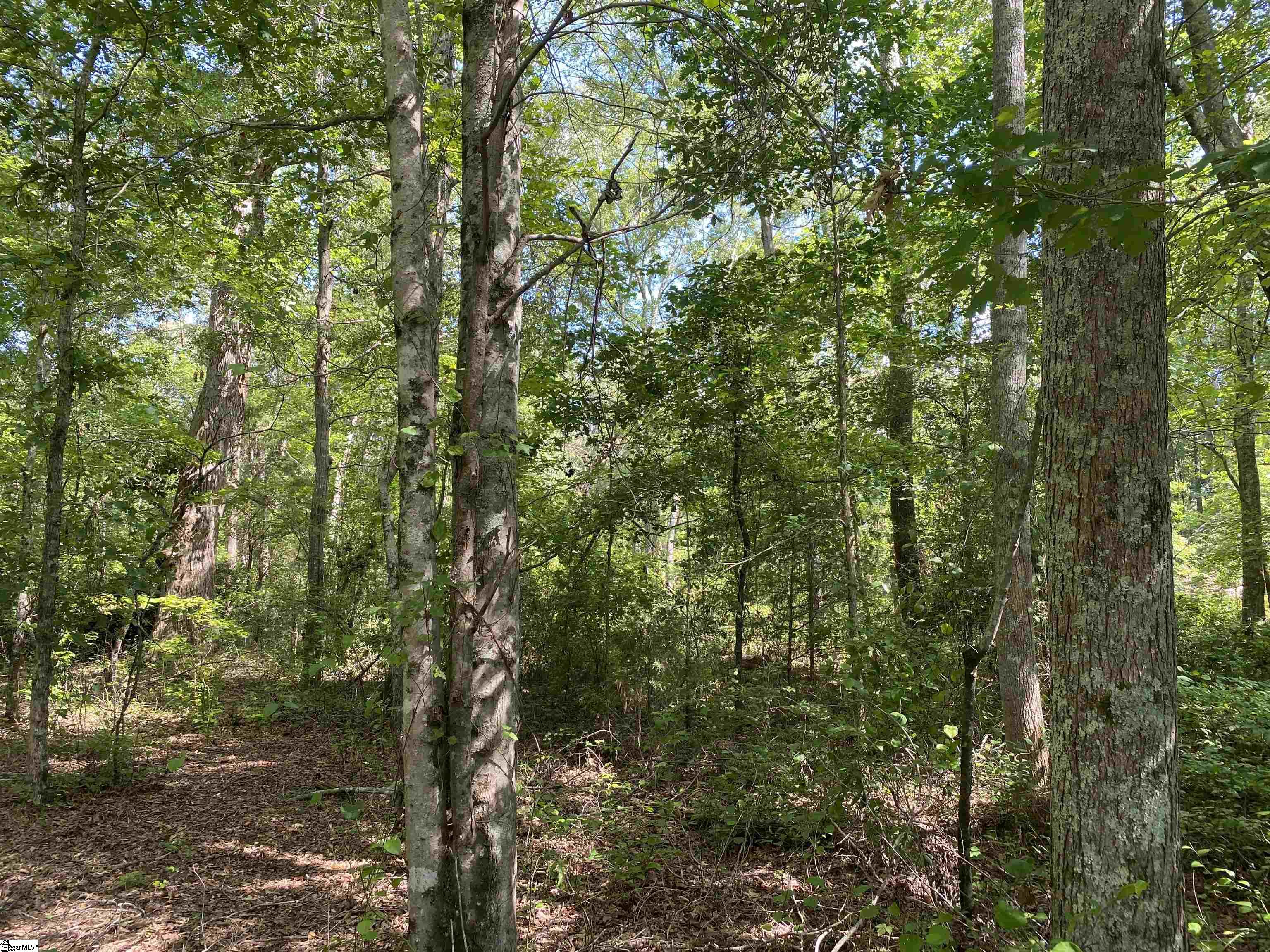 0 Sandy Springs Road Property Photo 15