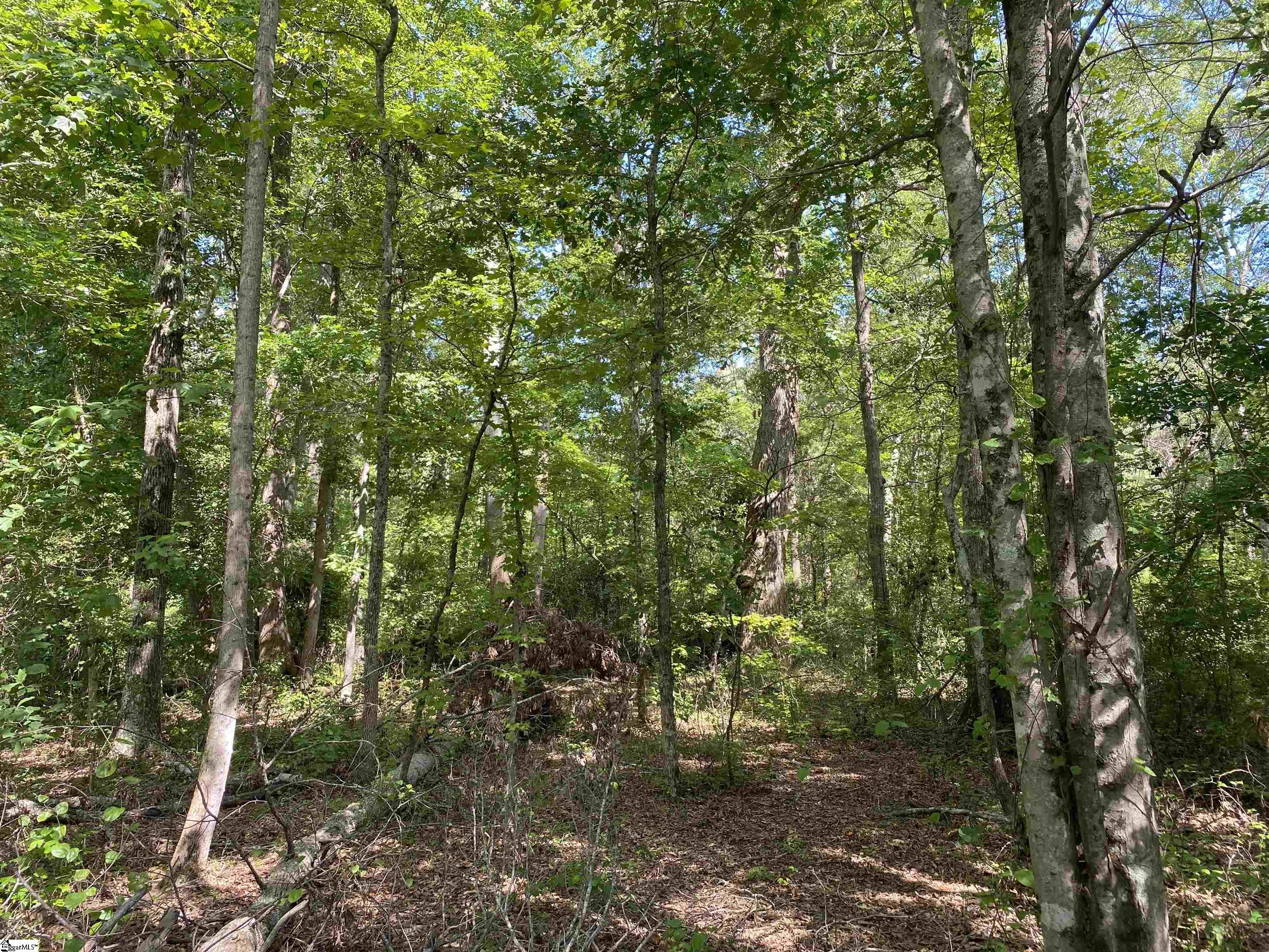 0 Sandy Springs Road Property Photo 16
