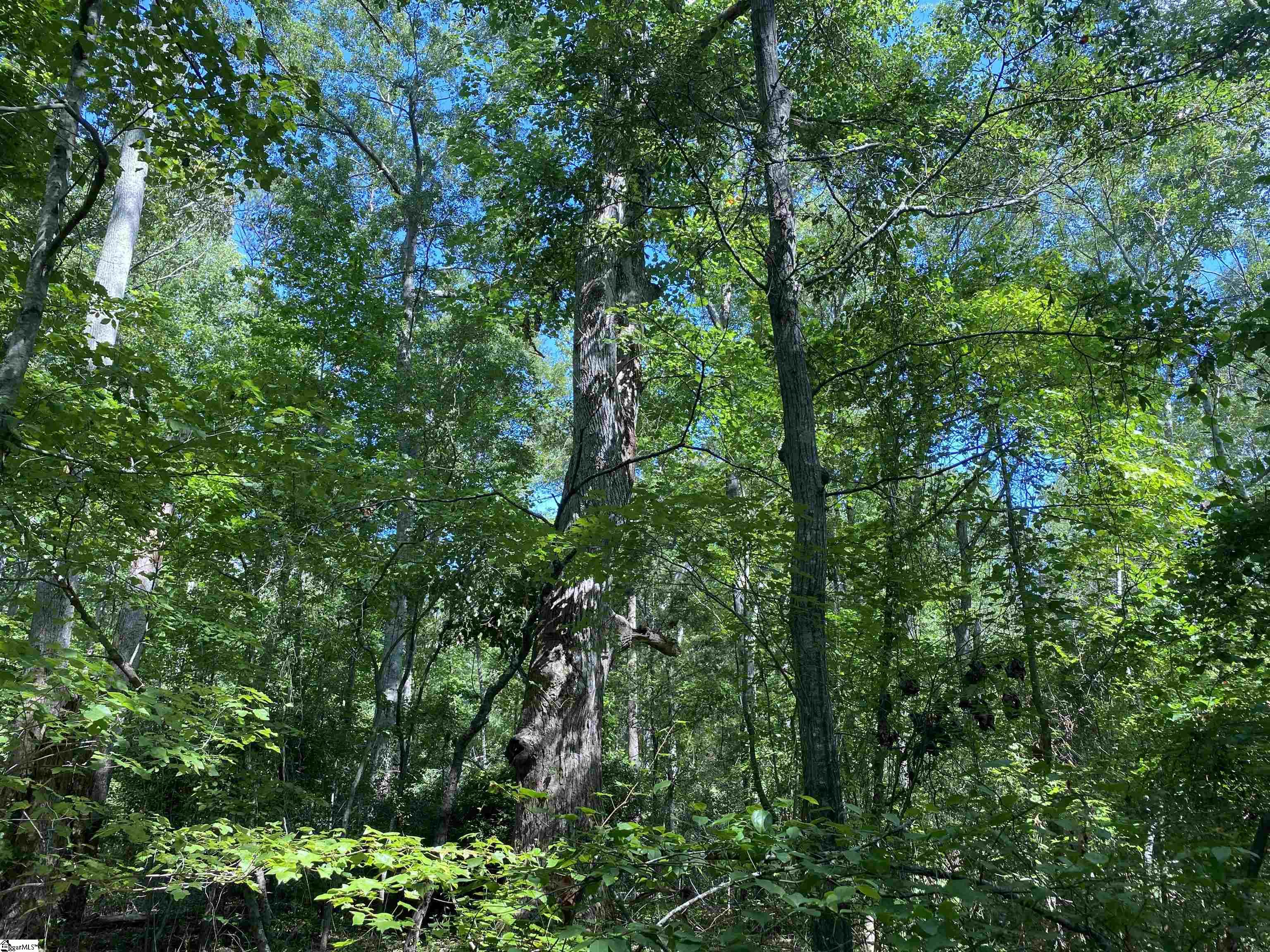 0 Sandy Springs Road Property Photo 17