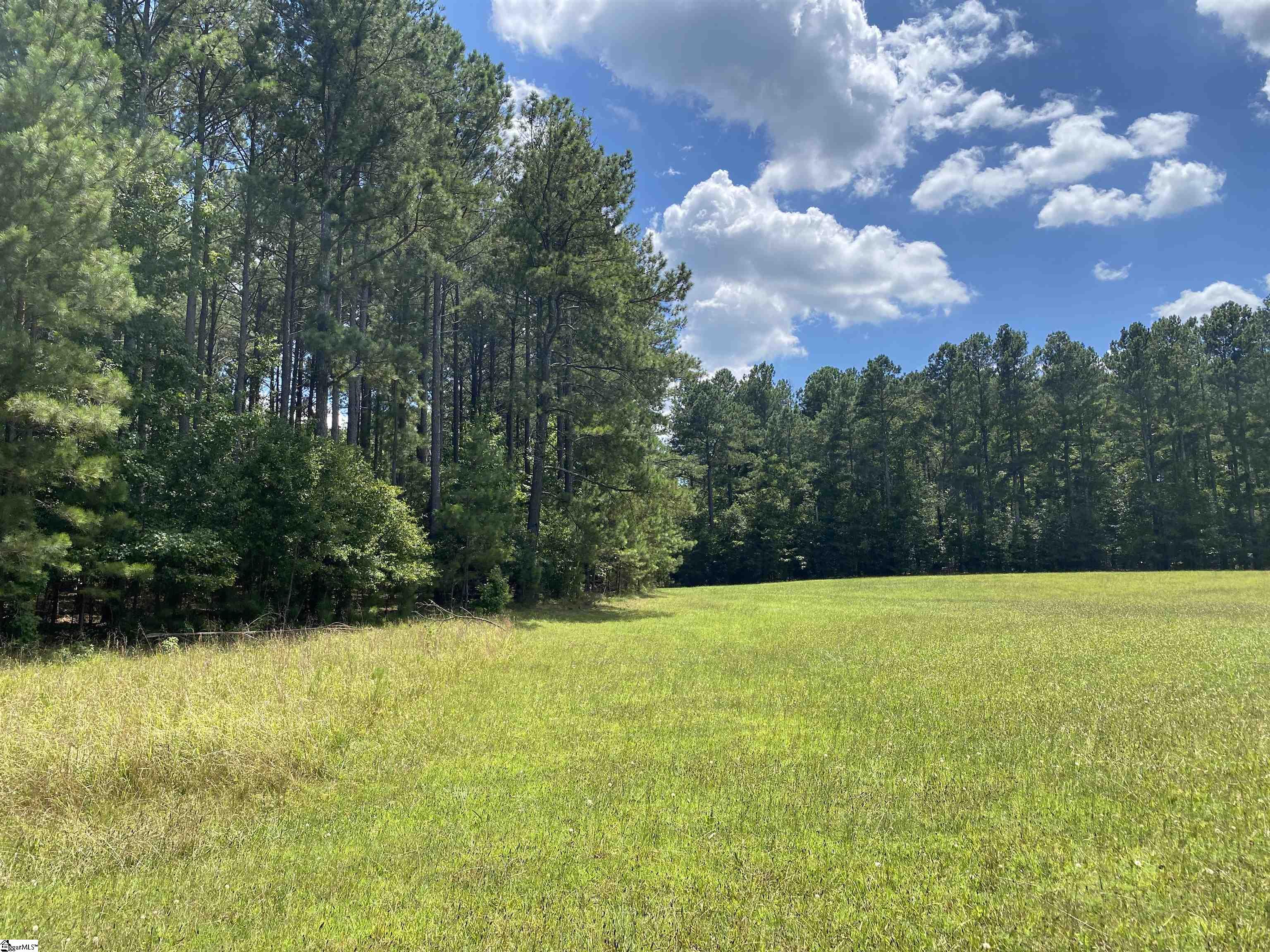 0 Sandy Springs Road Property Photo 2
