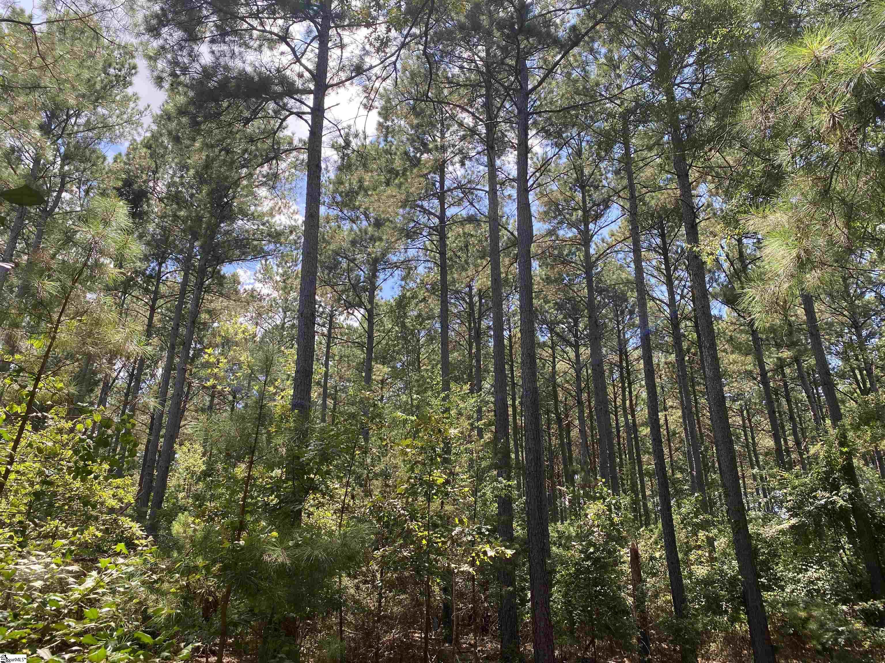 0 Sandy Springs Road Property Photo 5