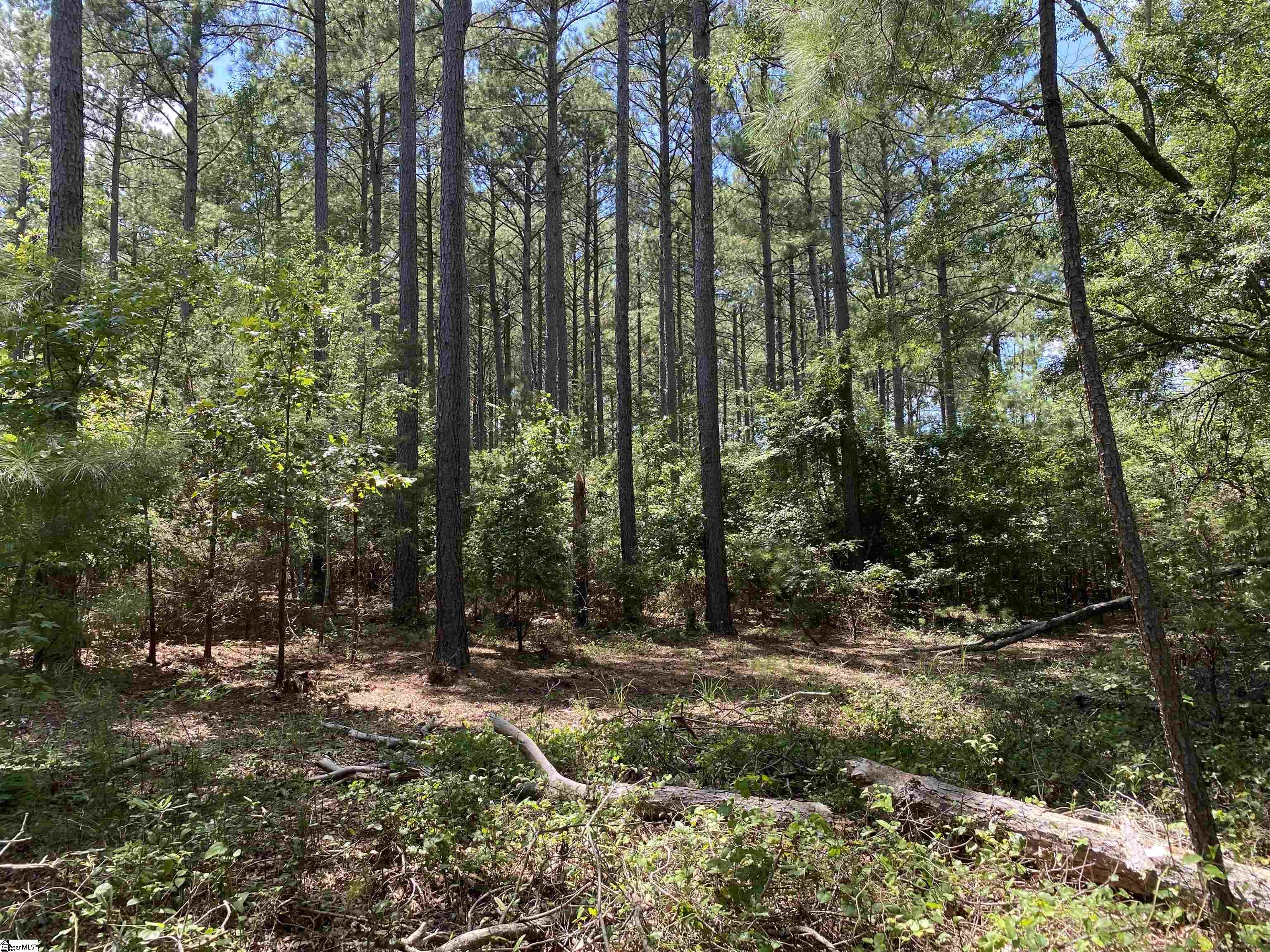 0 Sandy Springs Road Property Photo 6