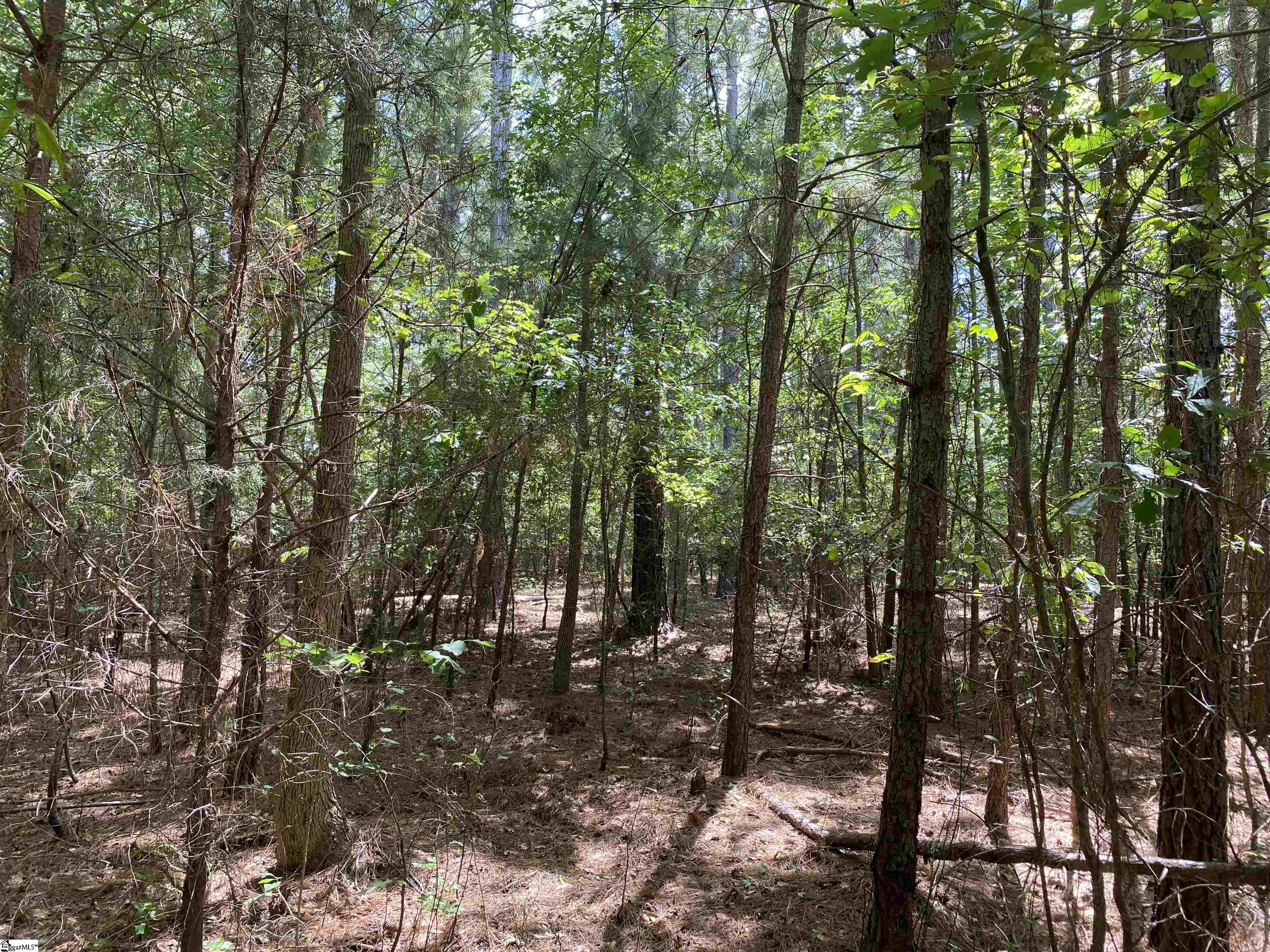 0 Sandy Springs Road Property Photo 7