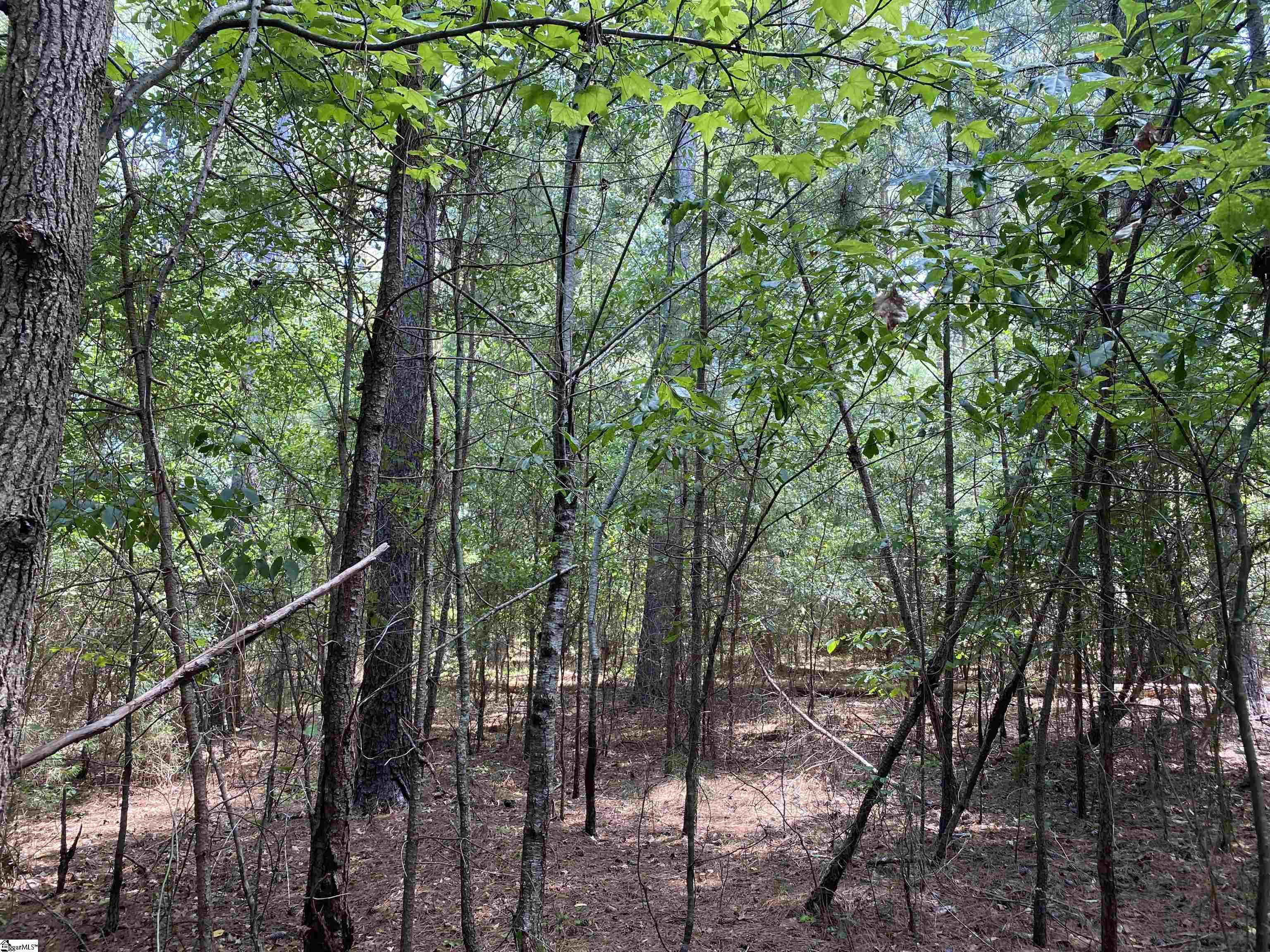 0 Sandy Springs Road Property Photo 8