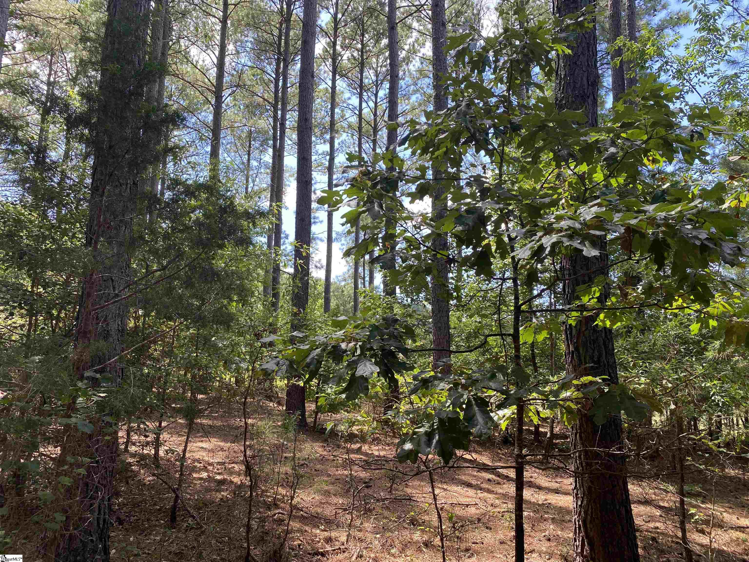 0 Sandy Springs Road Property Photo 9