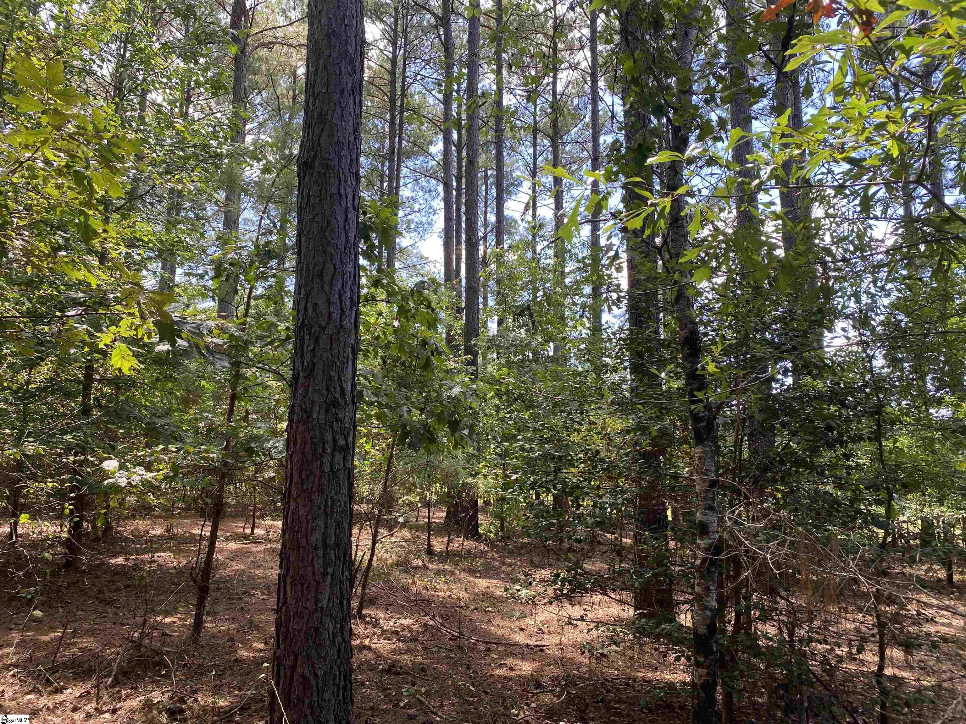 0 Sandy Springs Road Property Photo 10