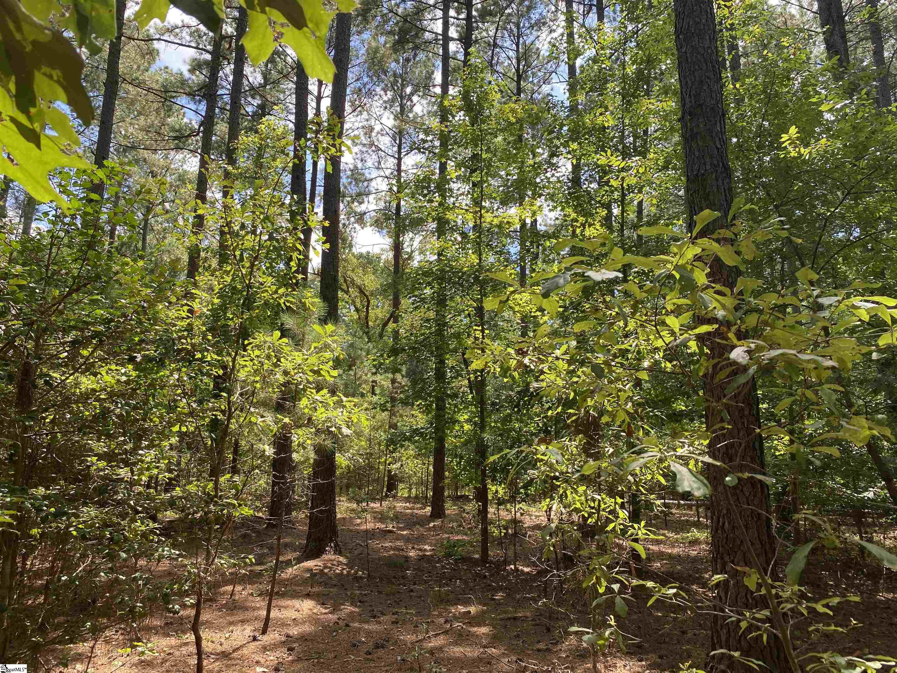 0 Sandy Springs Road Property Photo 11
