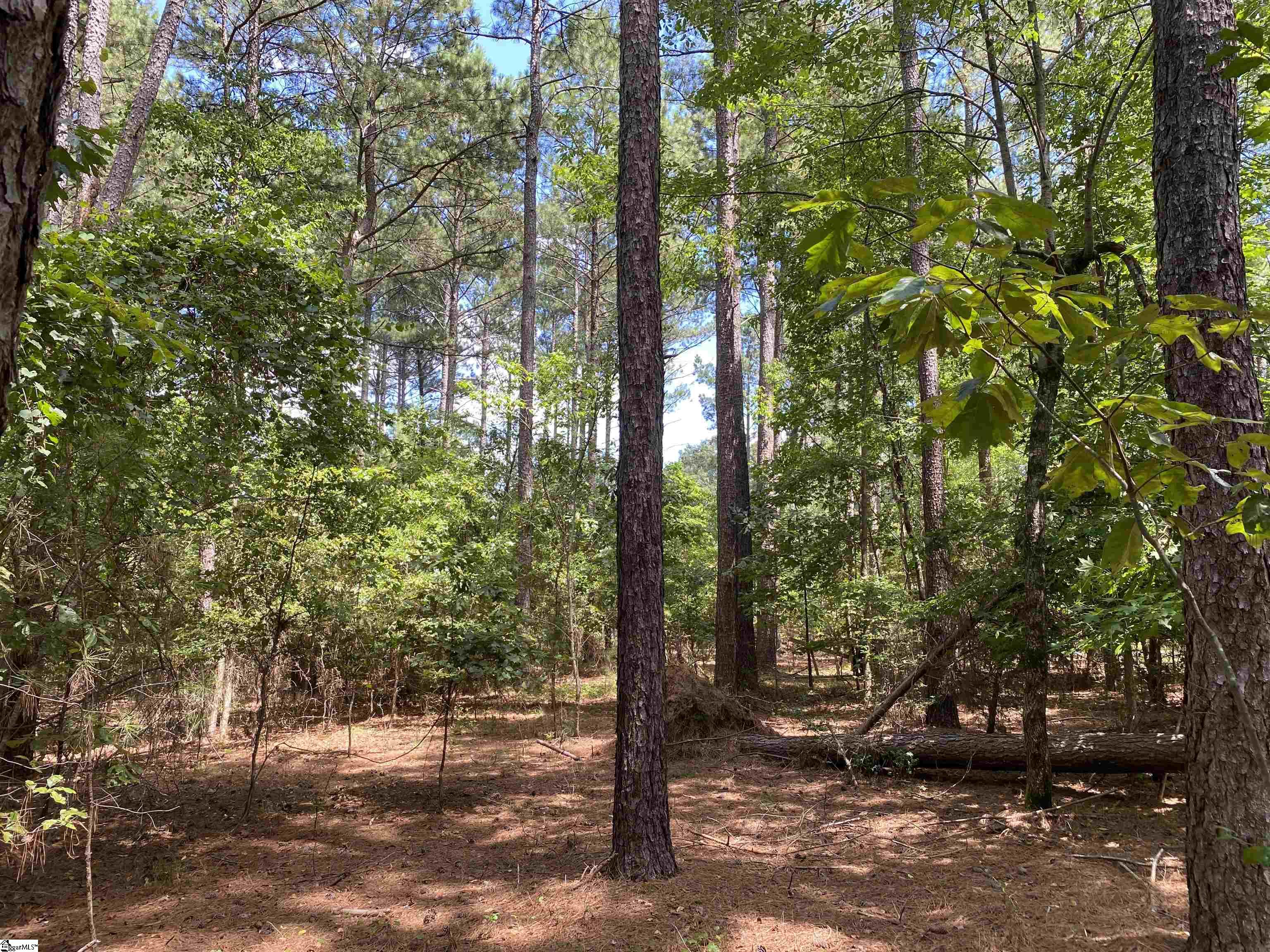 0 Sandy Springs Road Property Photo 12