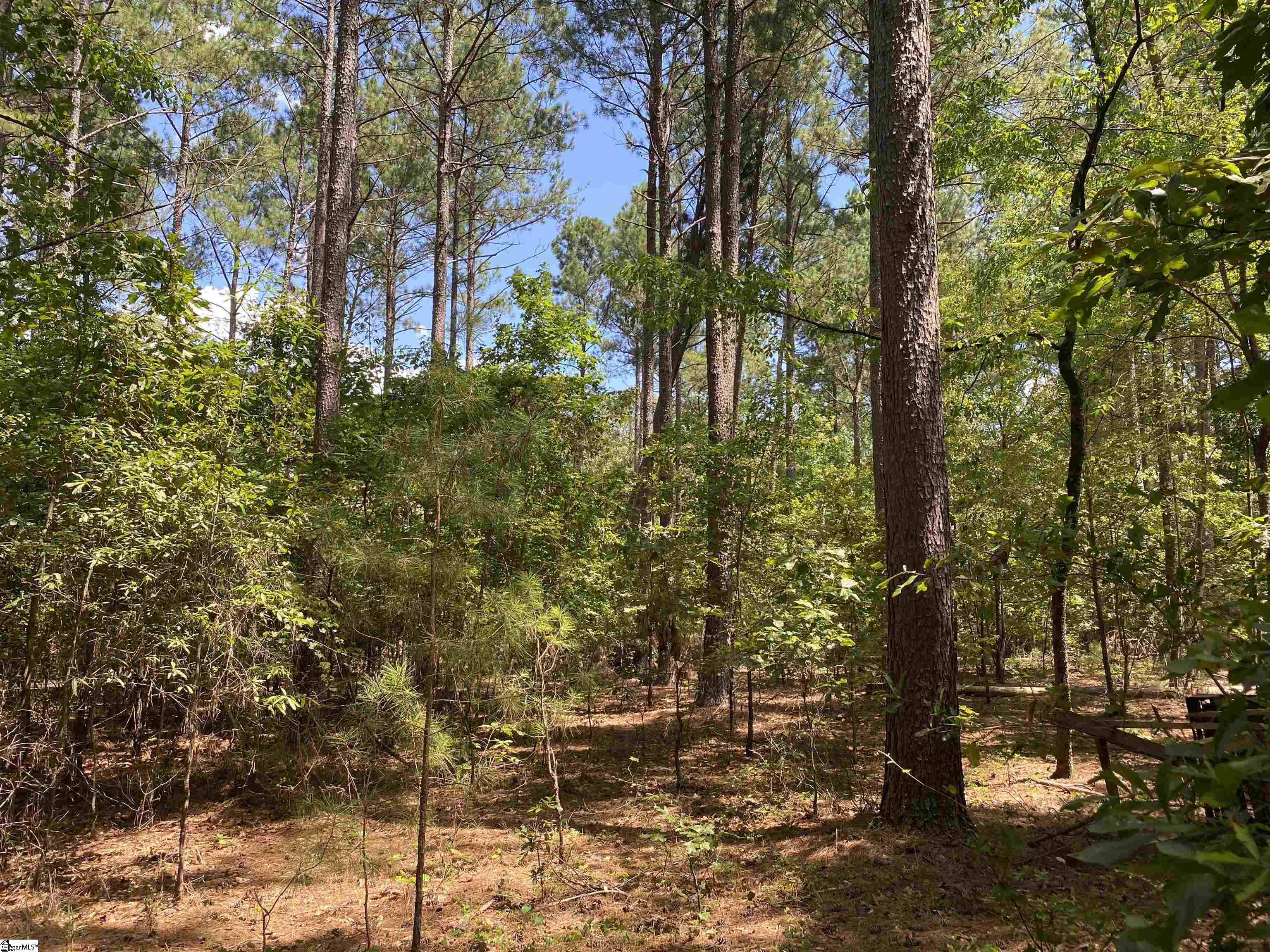 0 Sandy Springs Road Property Photo 13