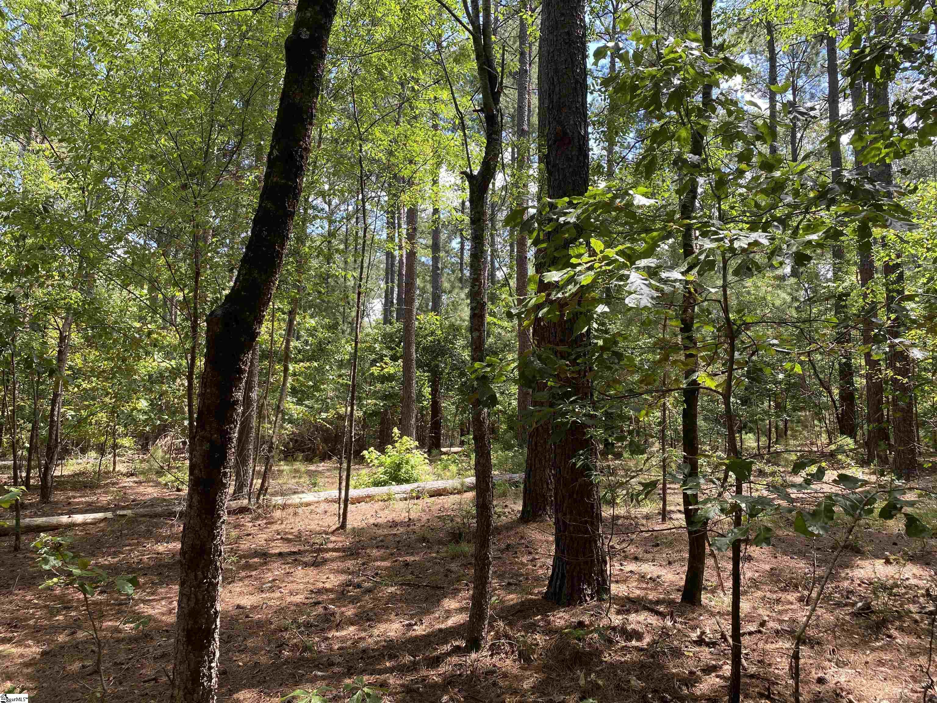 0 Sandy Springs Road Property Photo 14