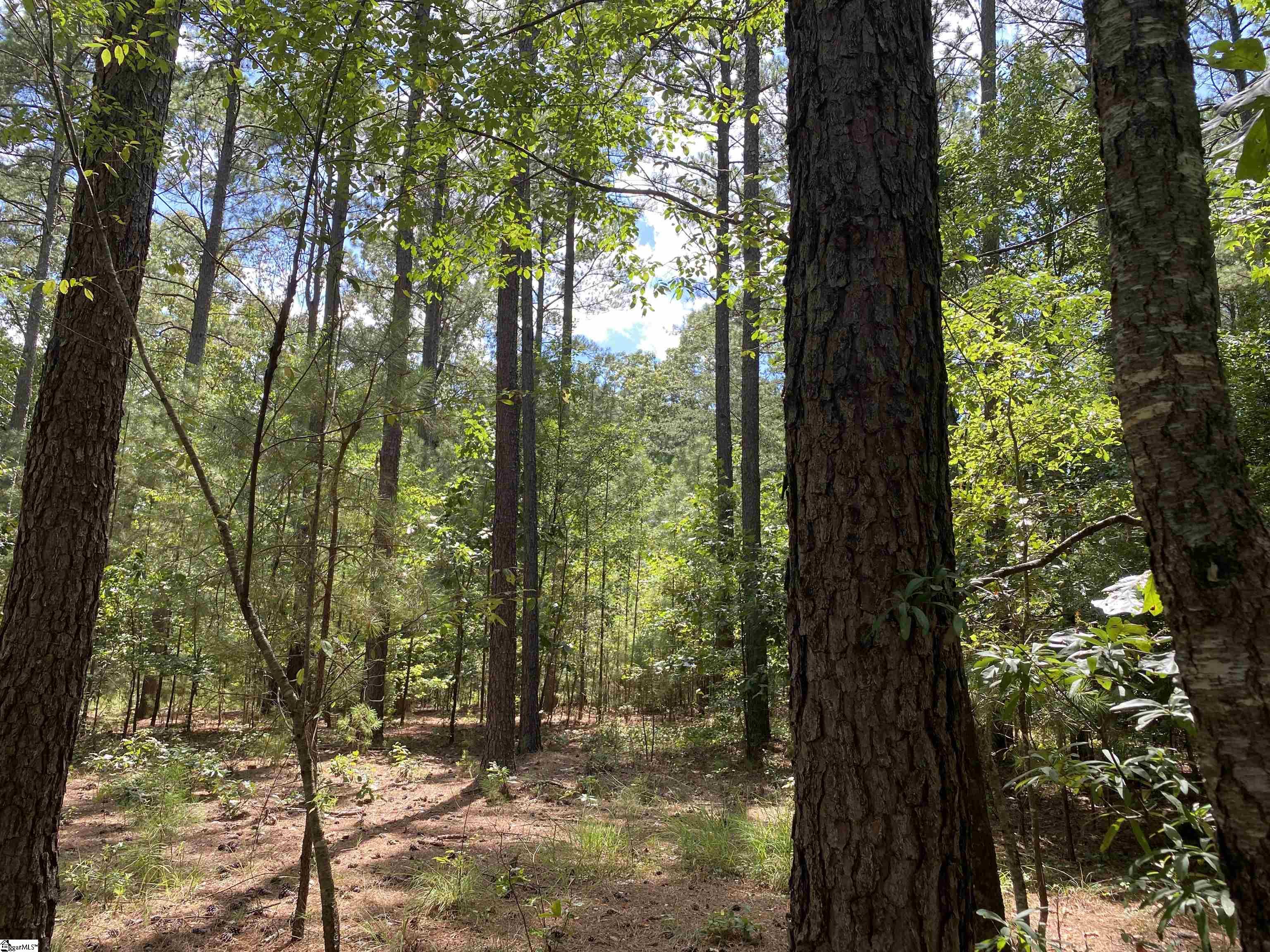 0 Sandy Springs Road Property Photo 15
