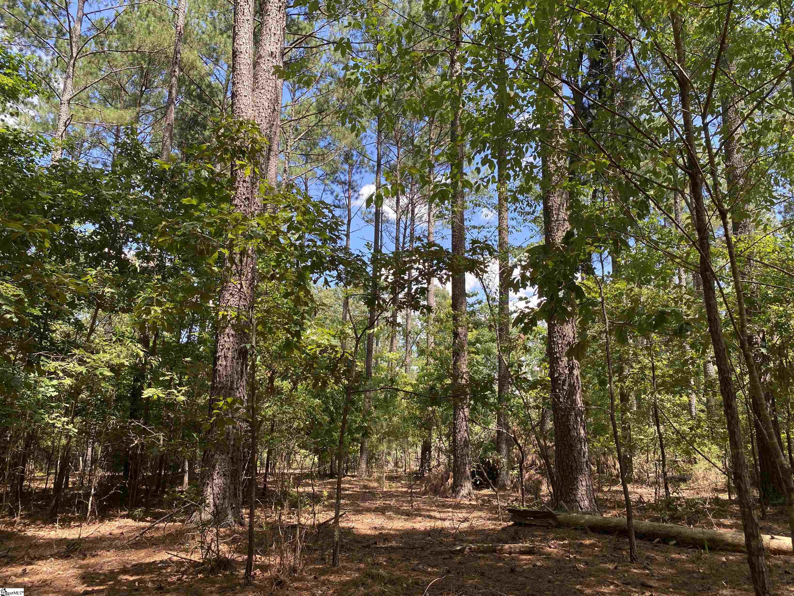 0 Sandy Springs Road Property Photo 16