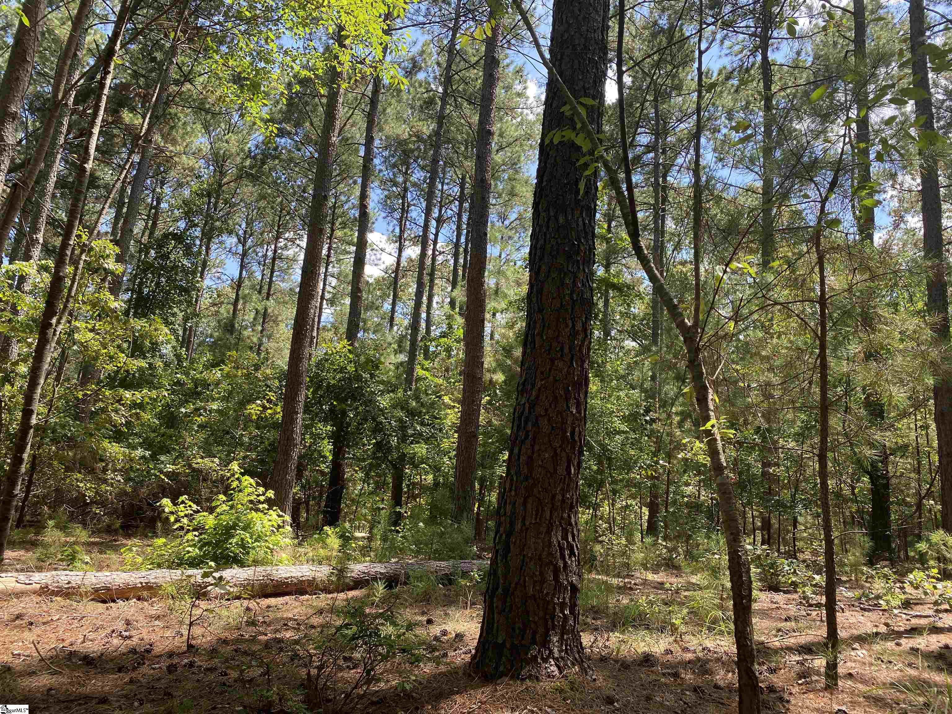0 Sandy Springs Road Property Photo 17