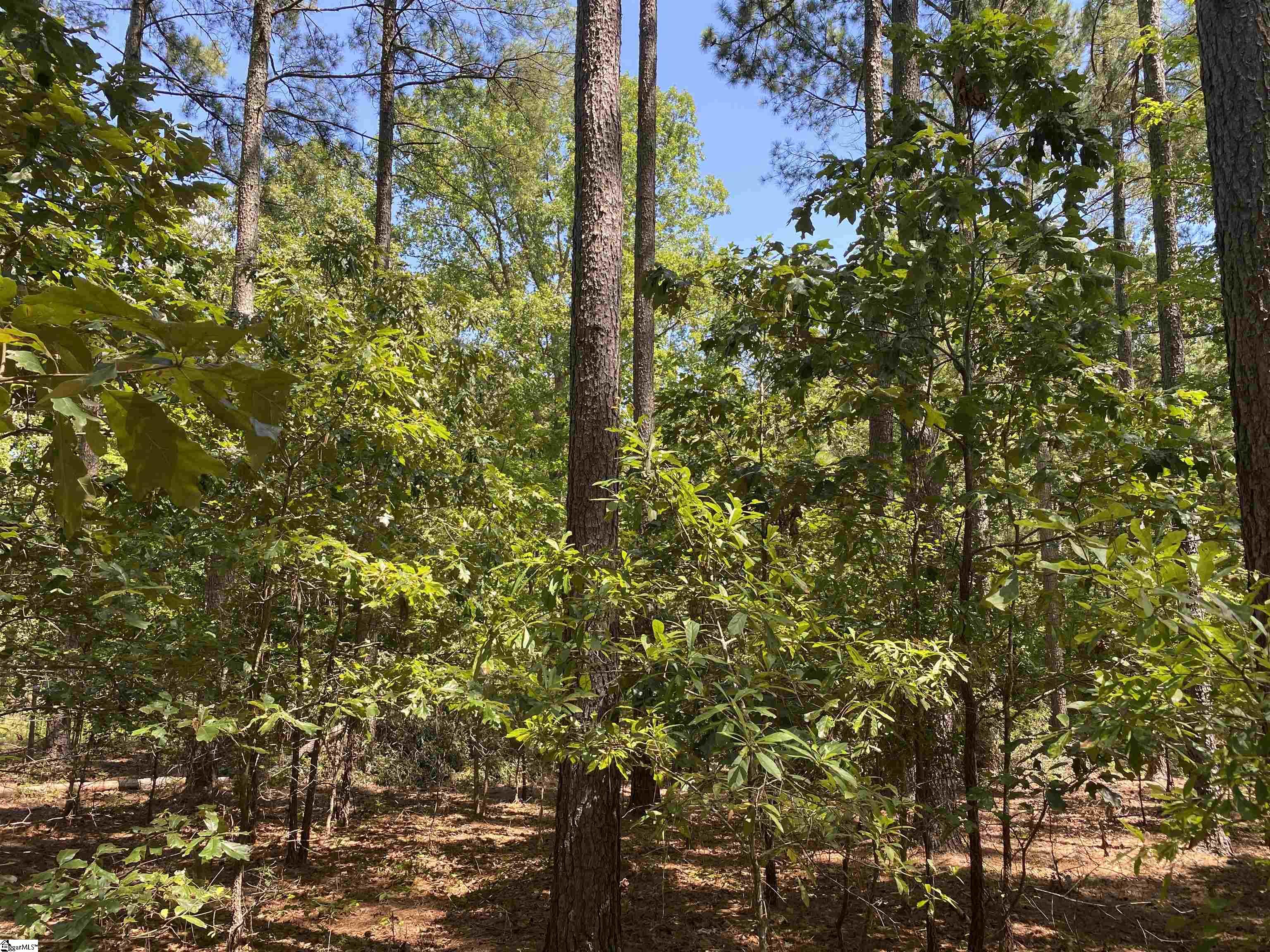 0 Sandy Springs Road Property Photo 18