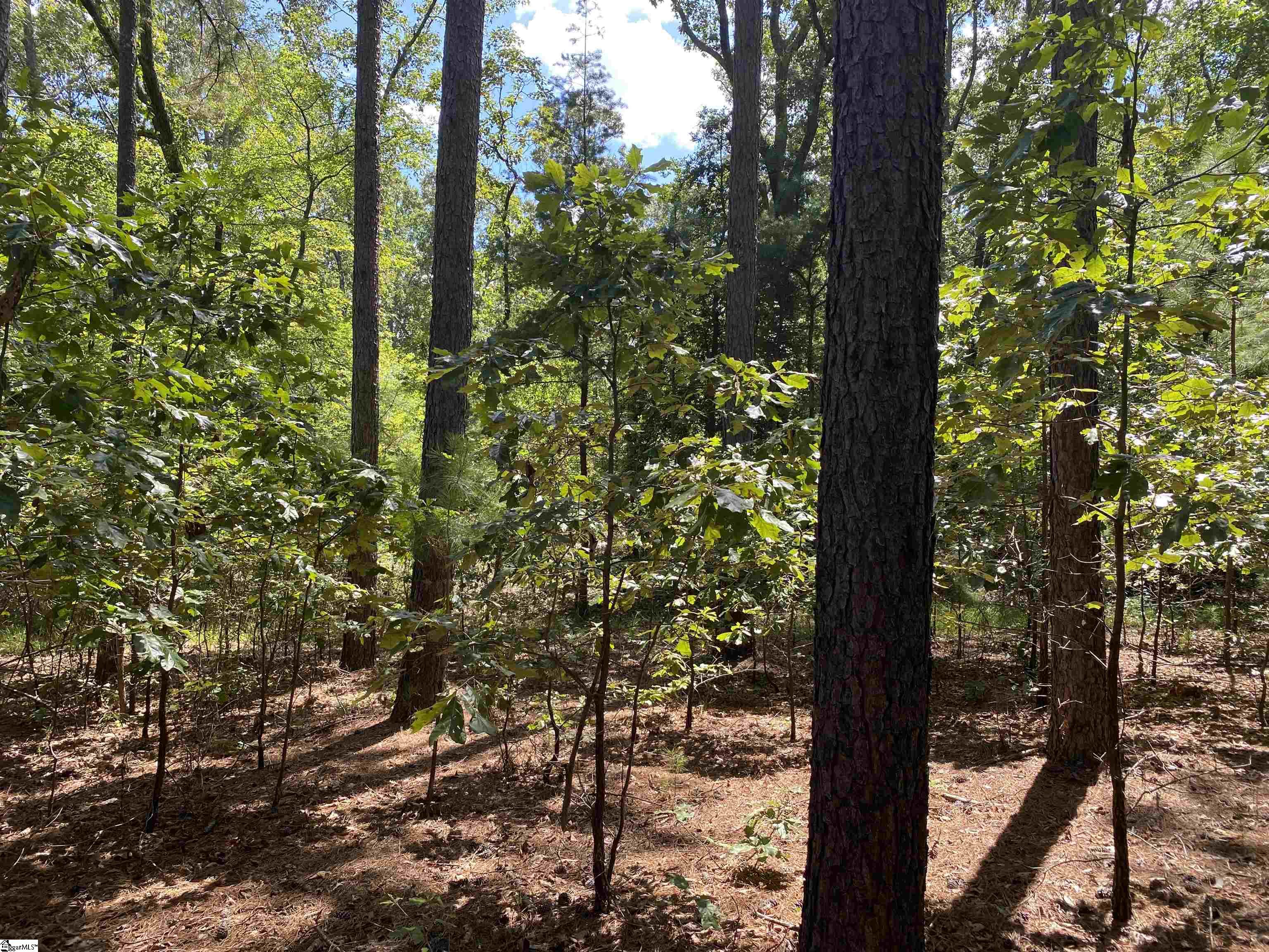 0 Sandy Springs Road Property Photo 19