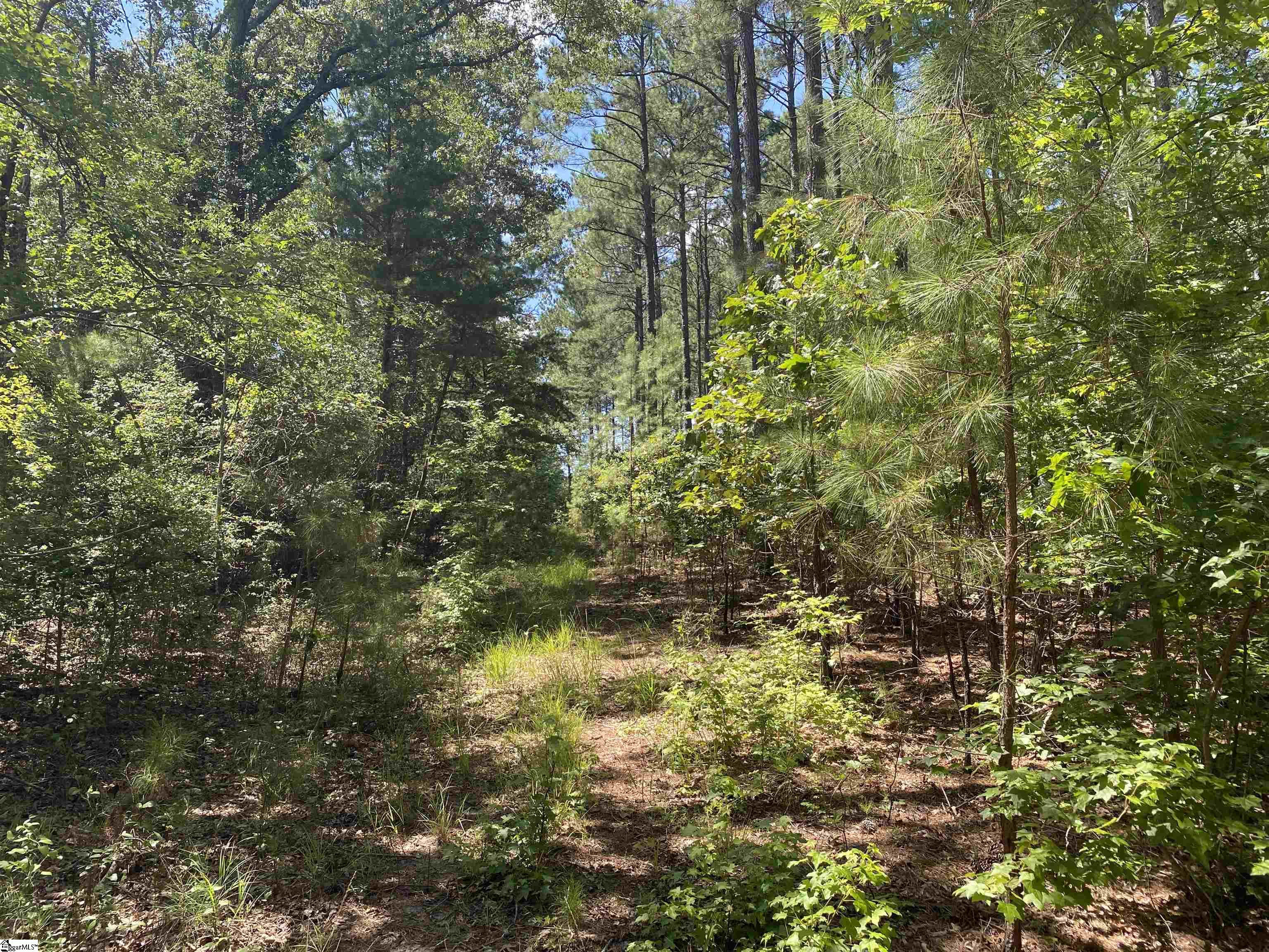 0 Sandy Springs Road Property Photo 20