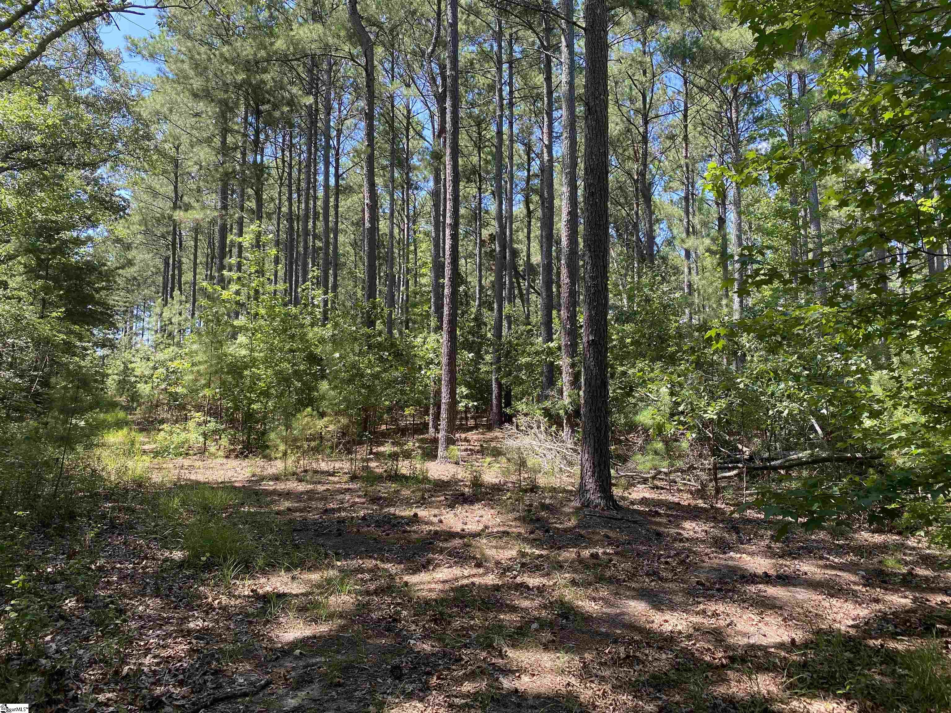 0 Sandy Springs Road Property Photo 21