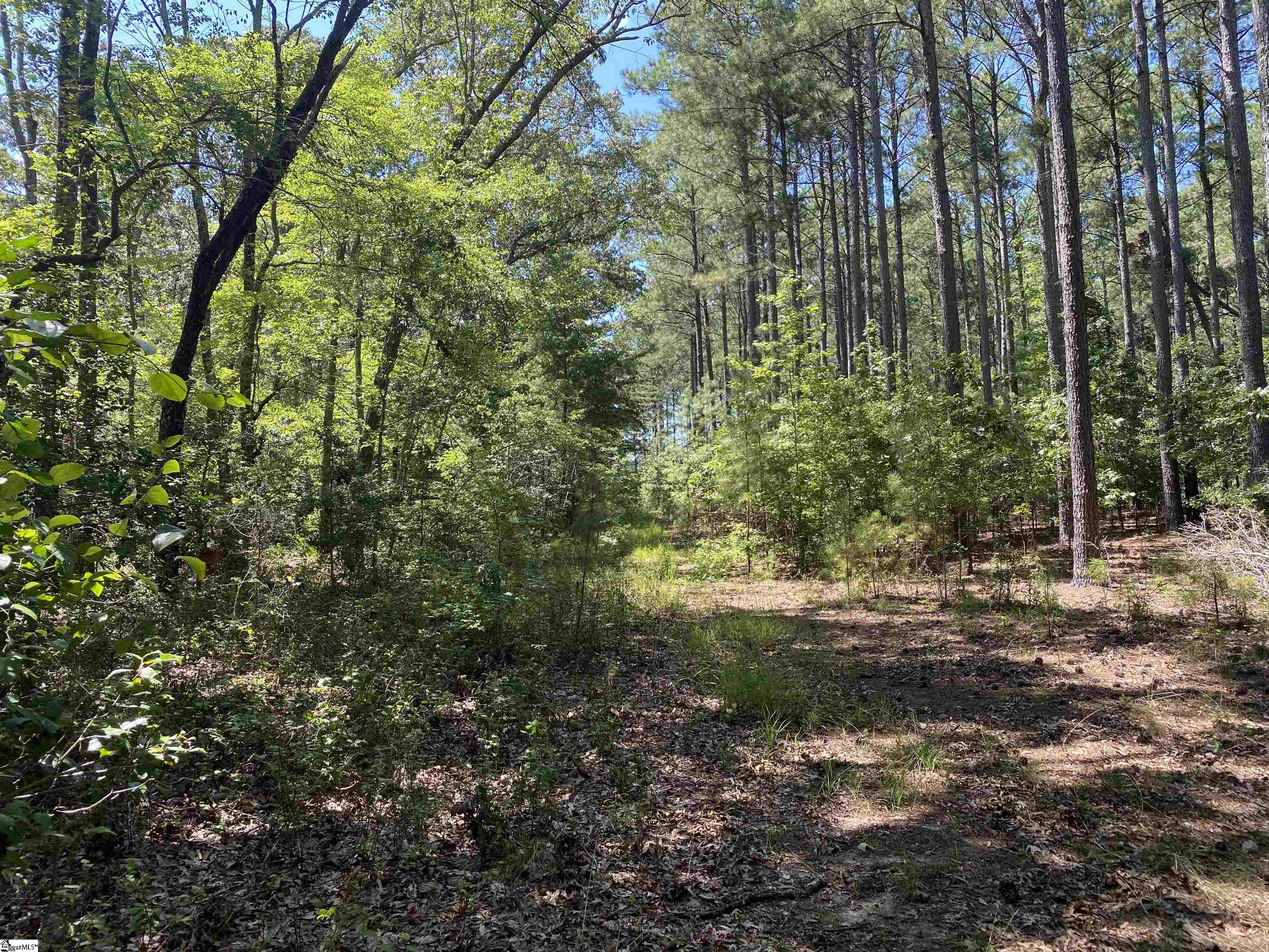 0 Sandy Springs Road Property Photo 22