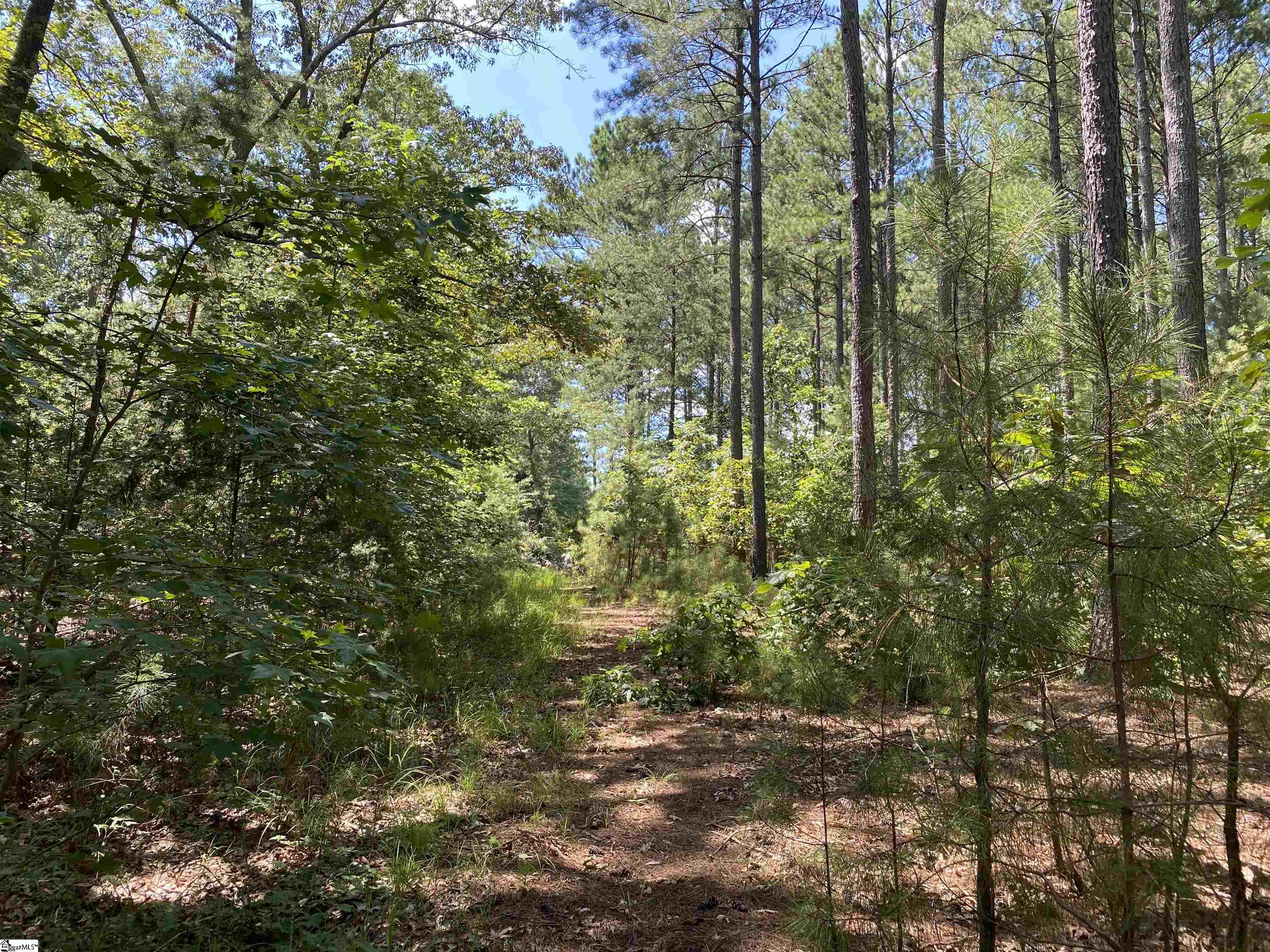 0 Sandy Springs Road Property Photo 23
