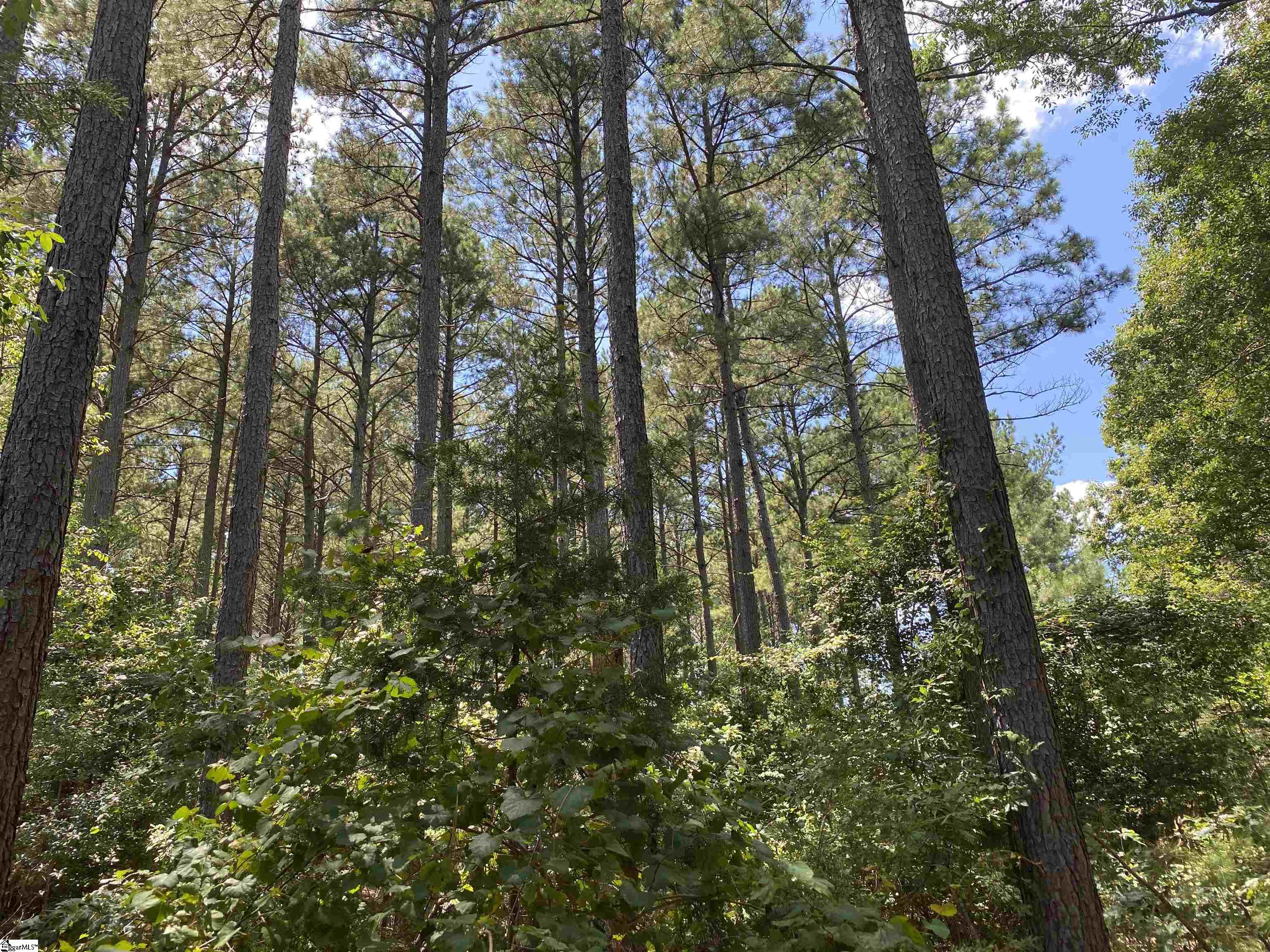 0 Sandy Springs Road Property Photo 24