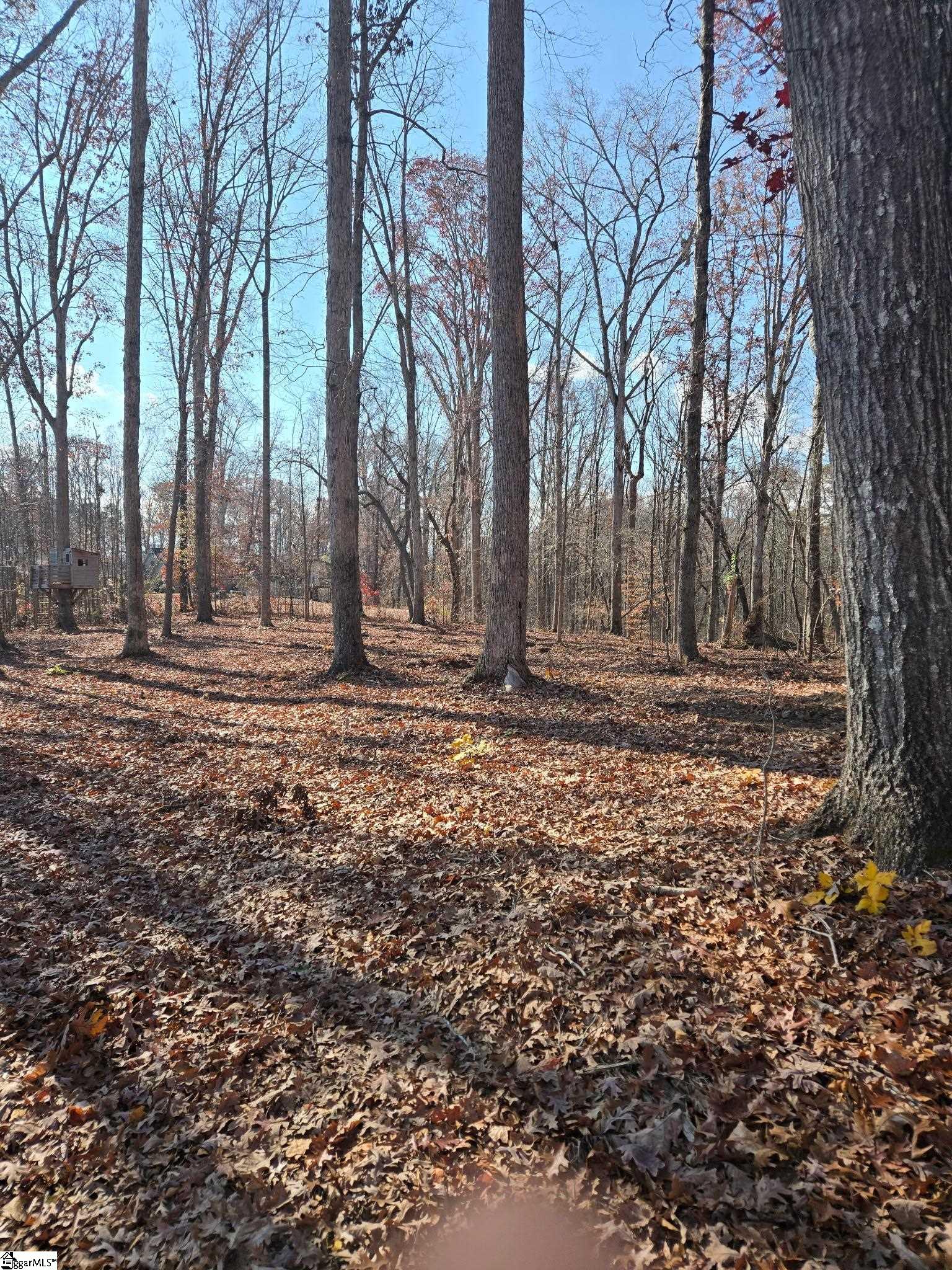 5 Leber Drive Property Photo 4