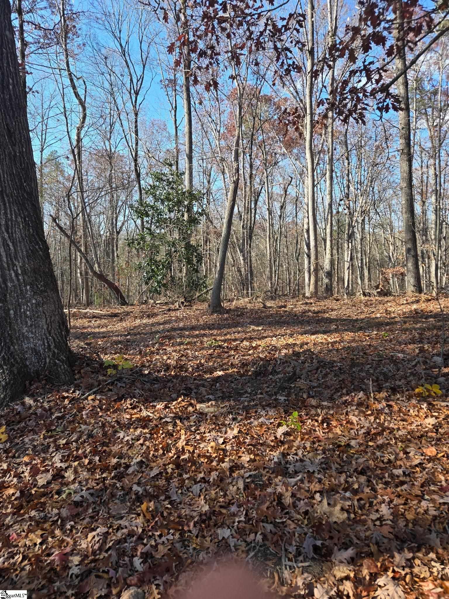 5 Leber Drive Property Photo 5