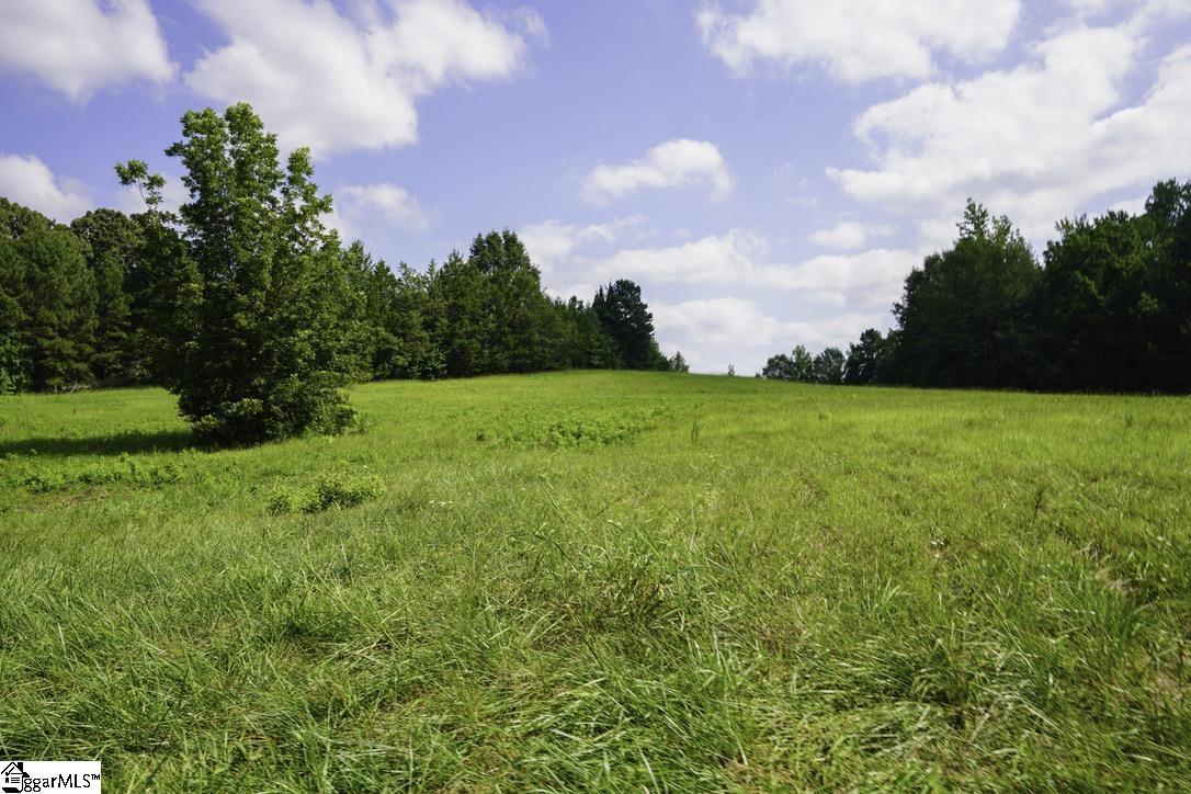 1560 Meansville Road Property Photo 2