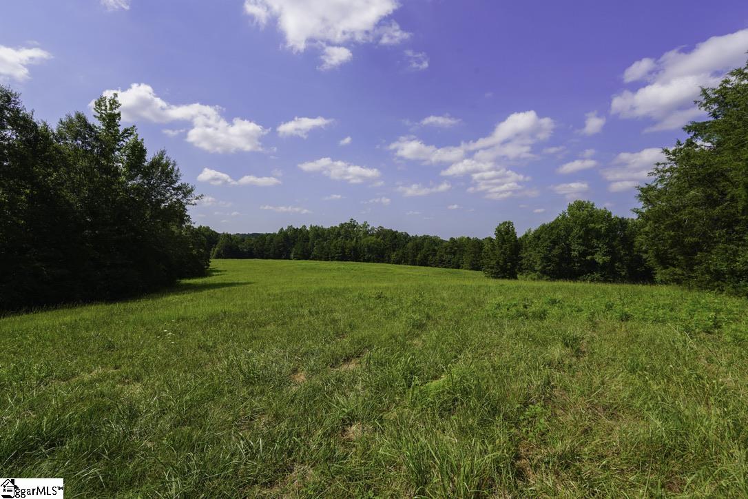 1560 Meansville Road Property Photo 6