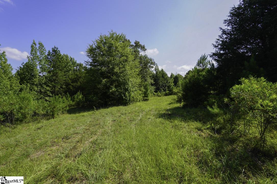 1560 Meansville Road Property Photo 16