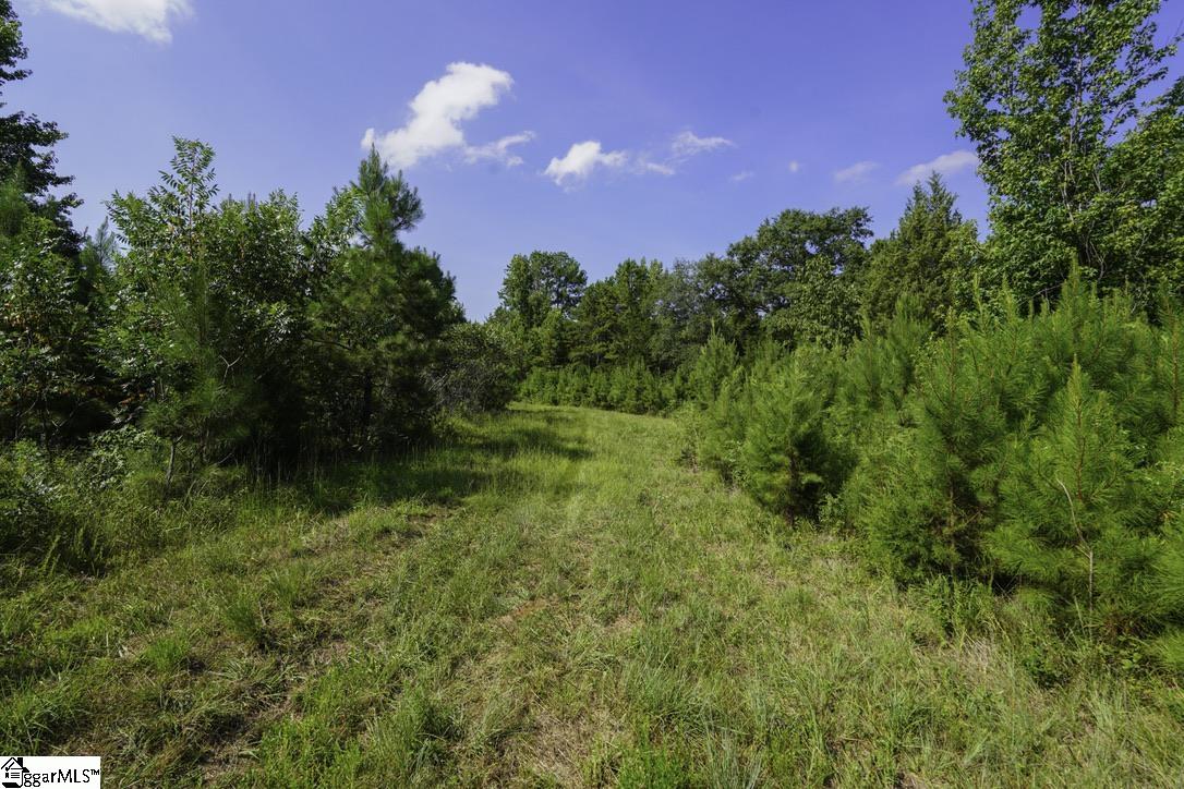 1560 Meansville Road Property Photo 17