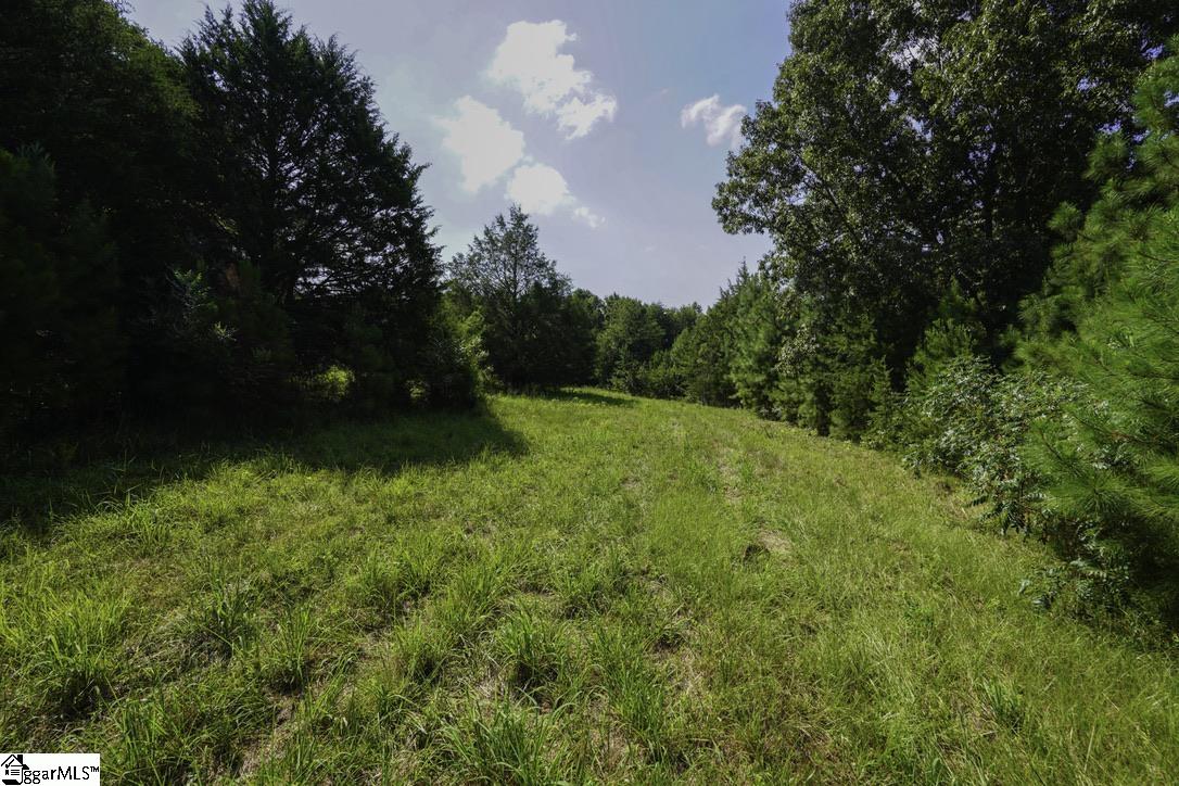 1560 Meansville Road Property Photo 18