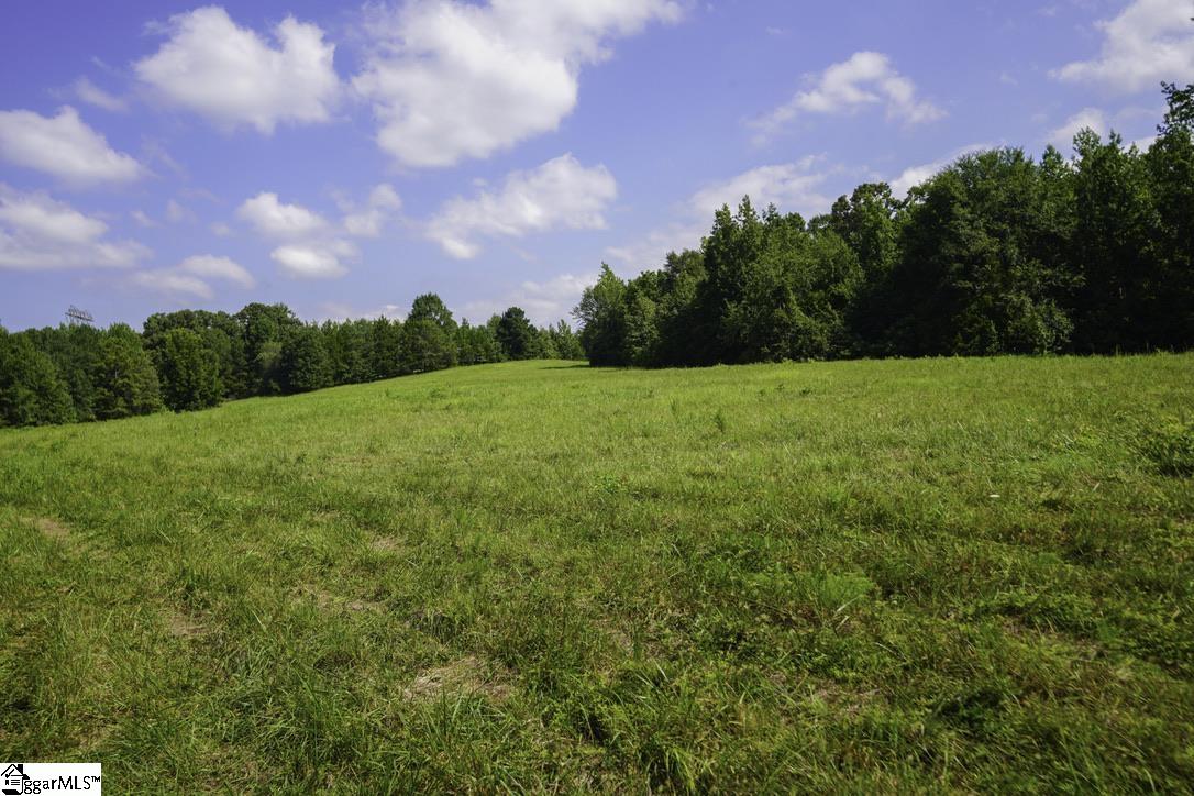 1560 Meansville Road Property Photo 22