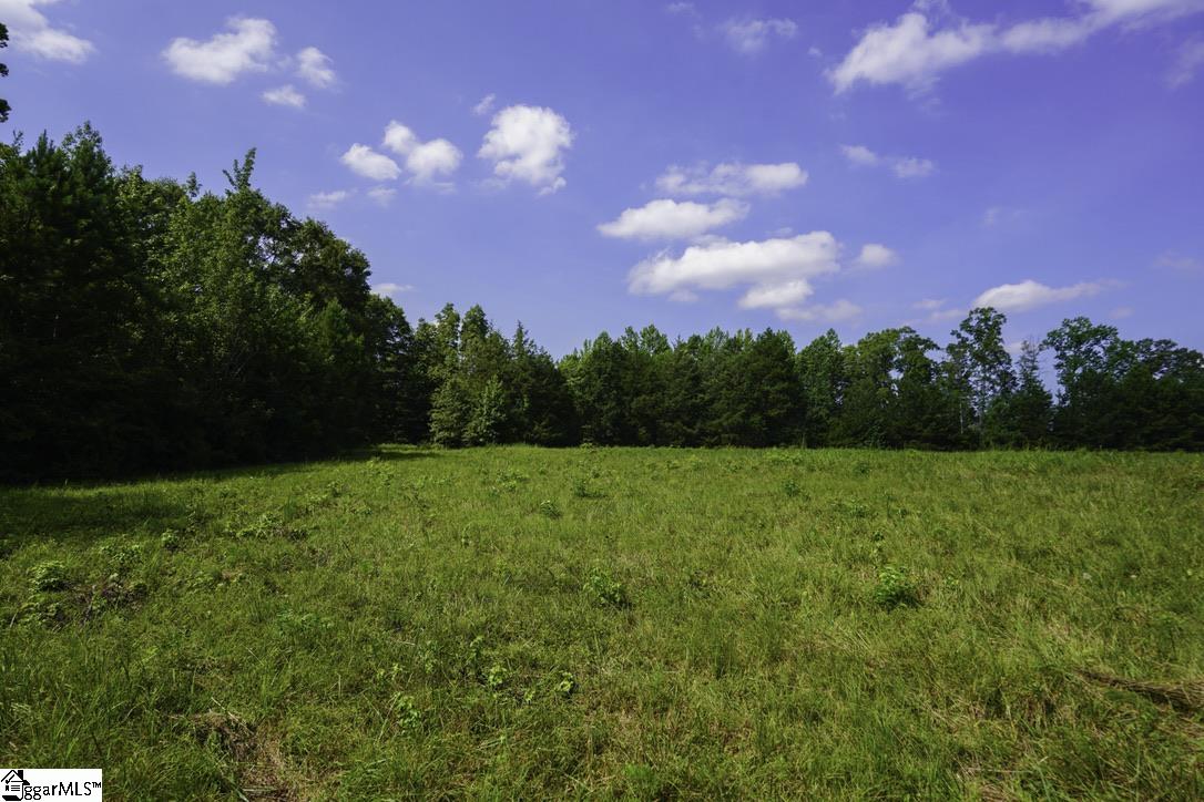1560 Meansville Road Property Photo 23
