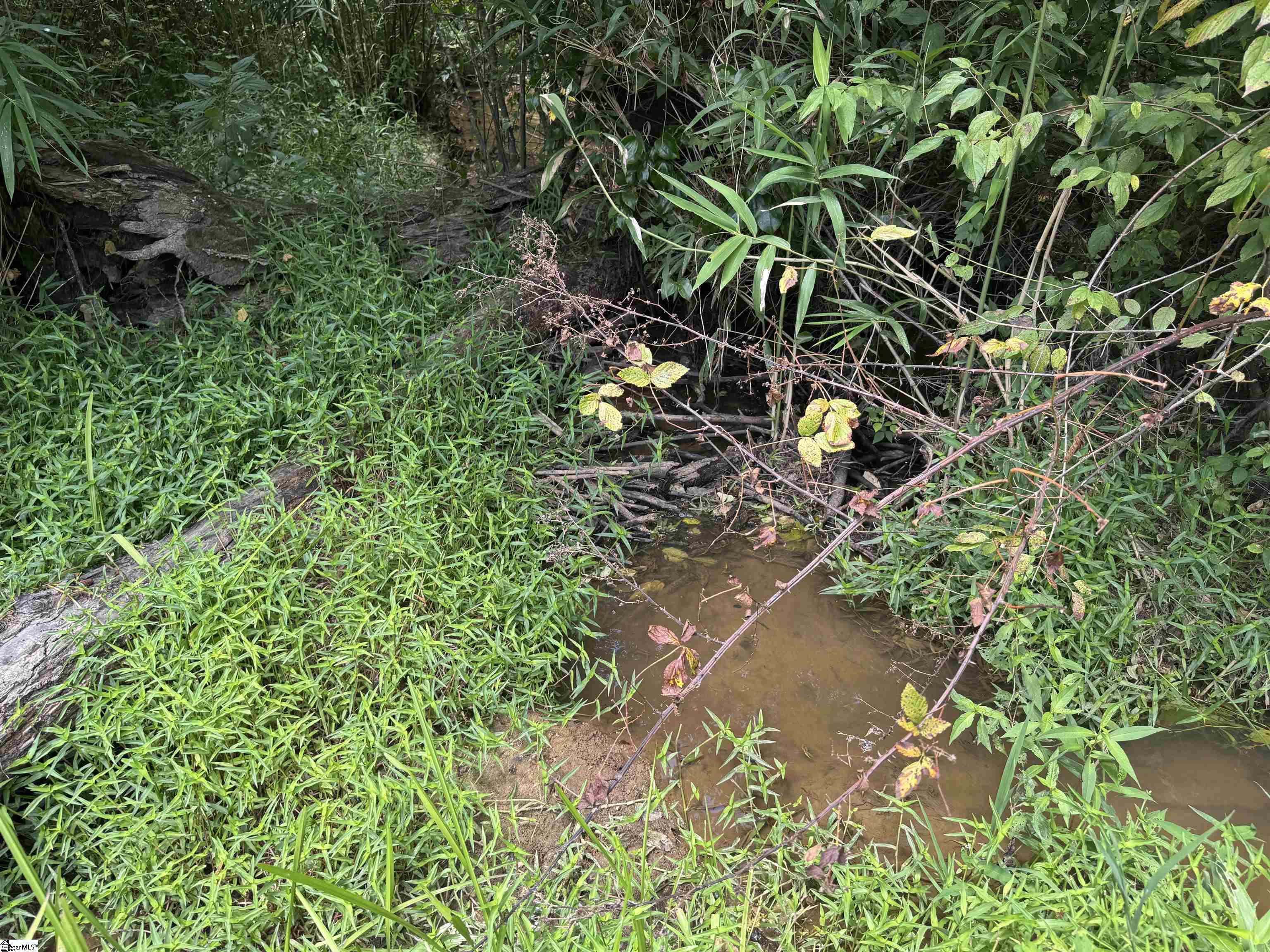 300 N Major Road Property Photo 25