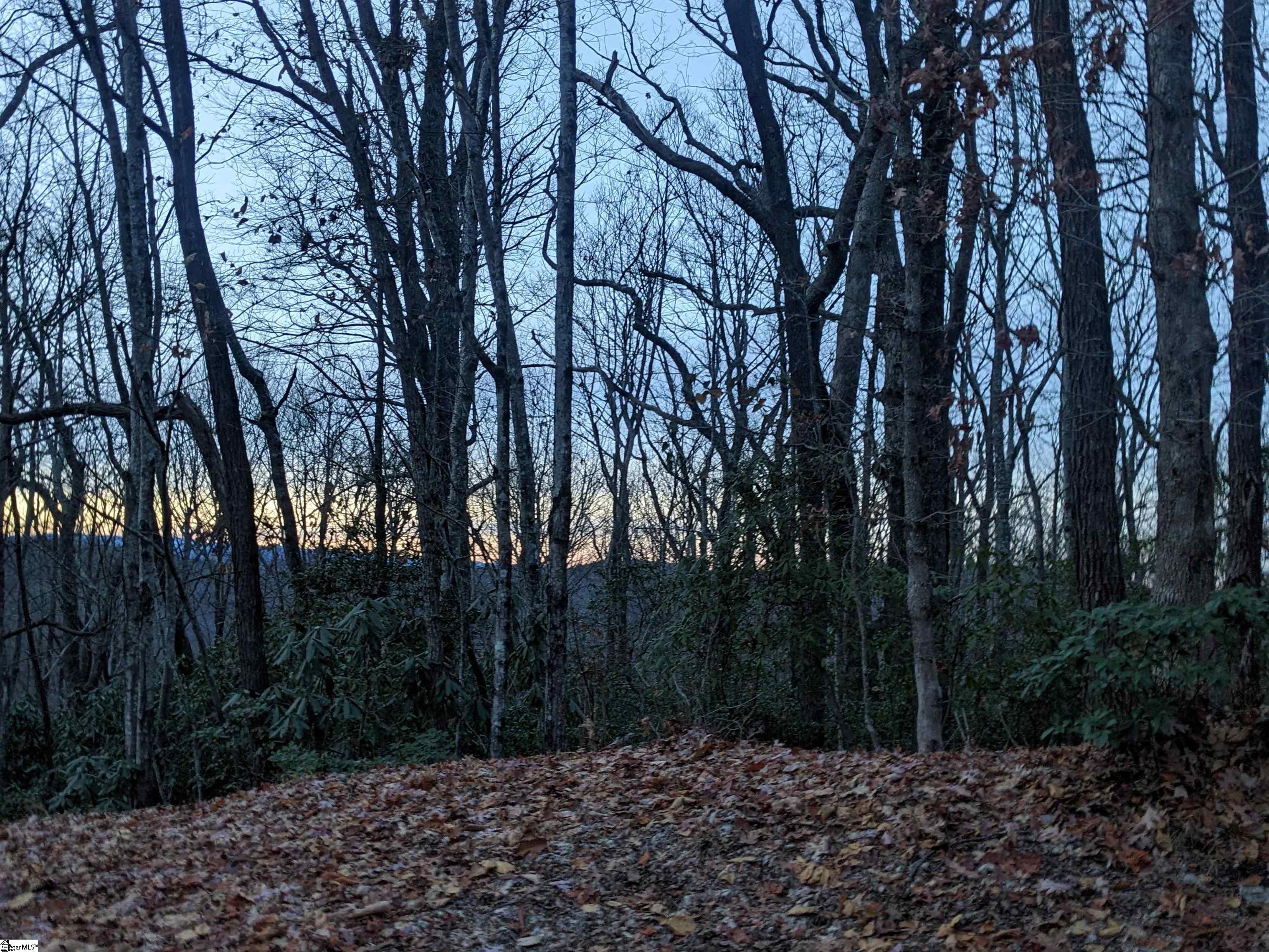 609 Cliff Ridge Drive Property Photo 1