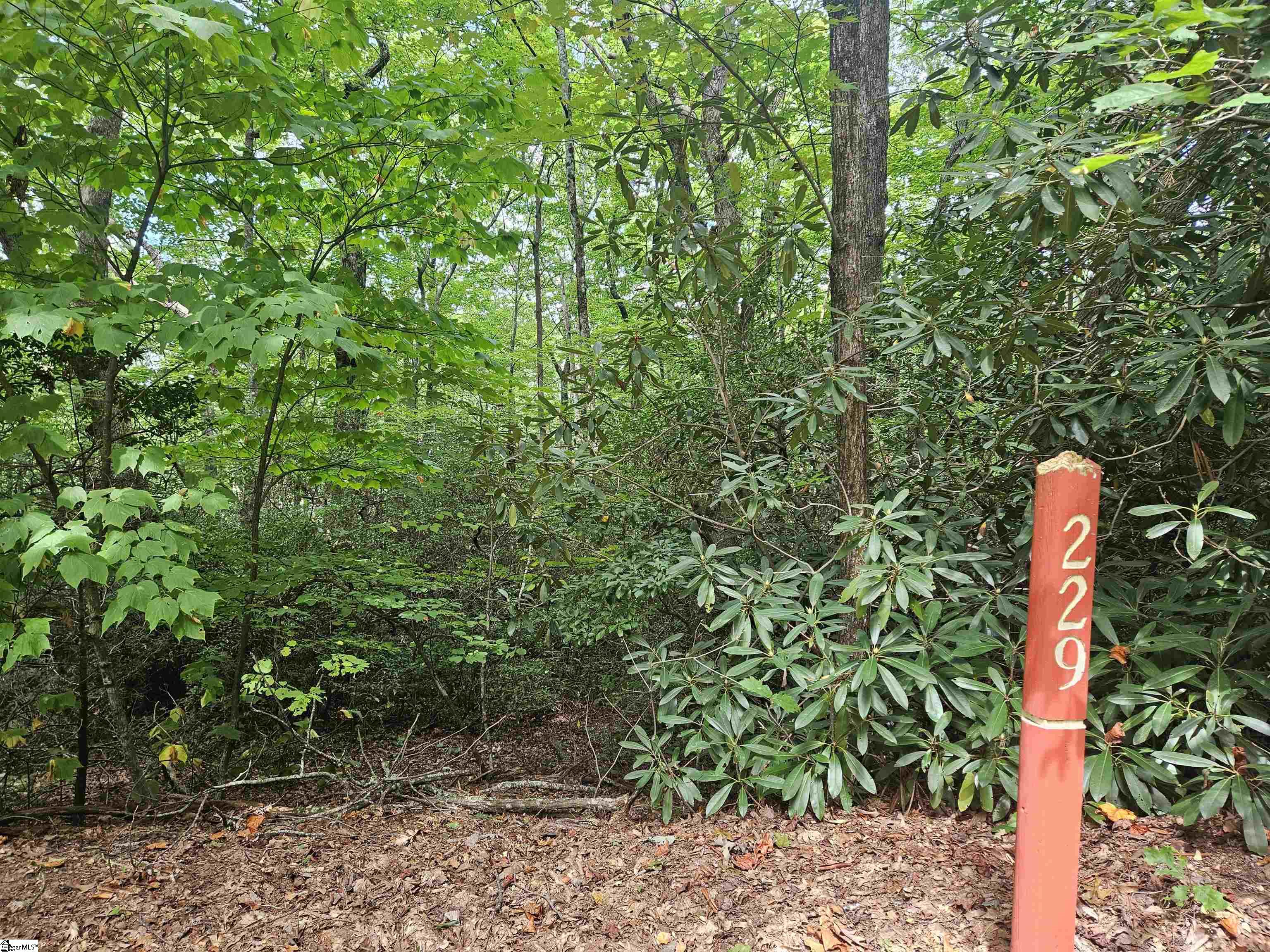 609 Cliff Ridge Drive Property Photo 6