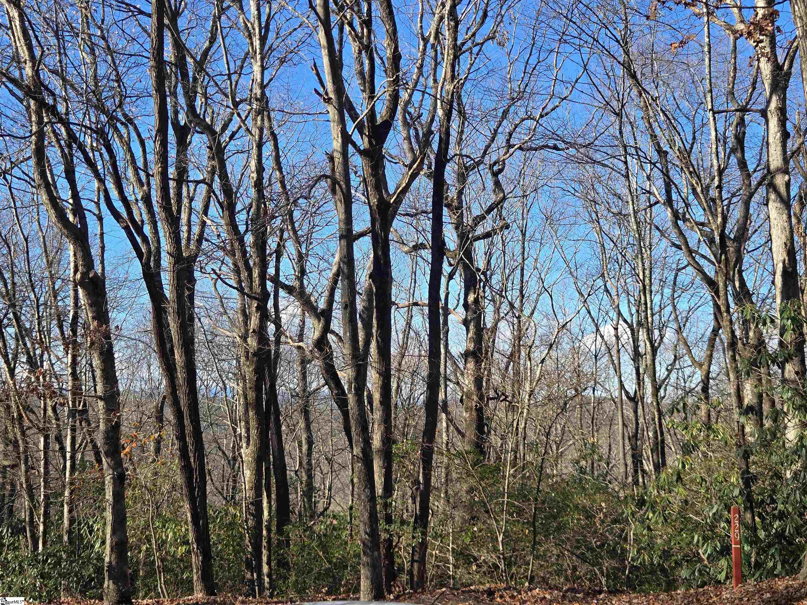 609 Cliff Ridge Drive Property Photo 7