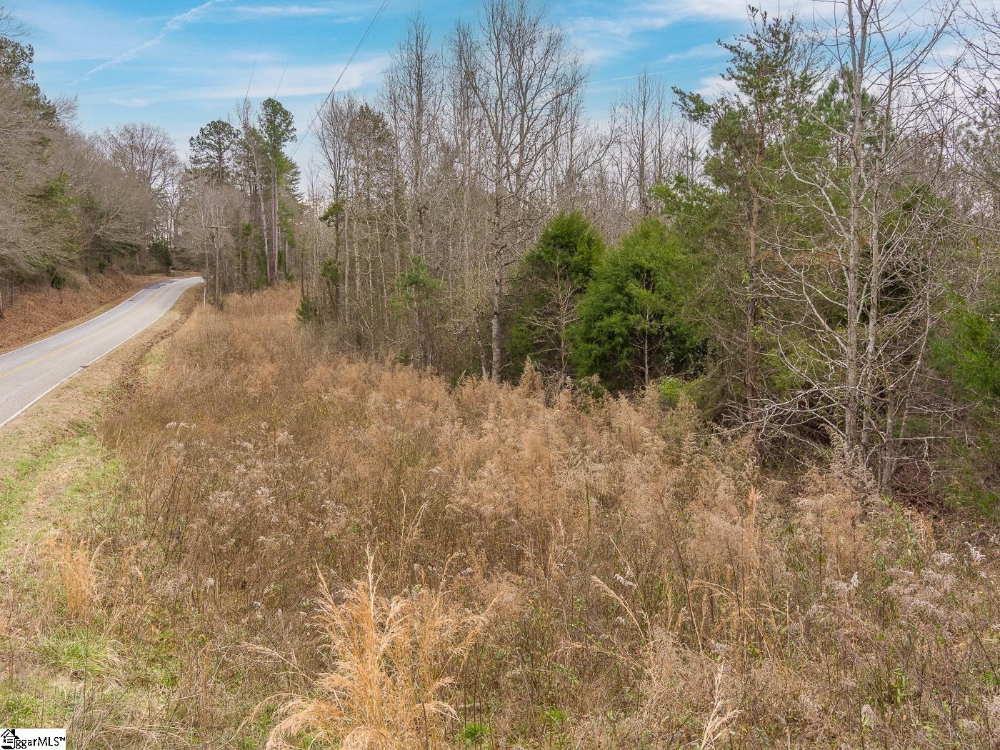 Cowpens Pacolet Road Property Photo 2