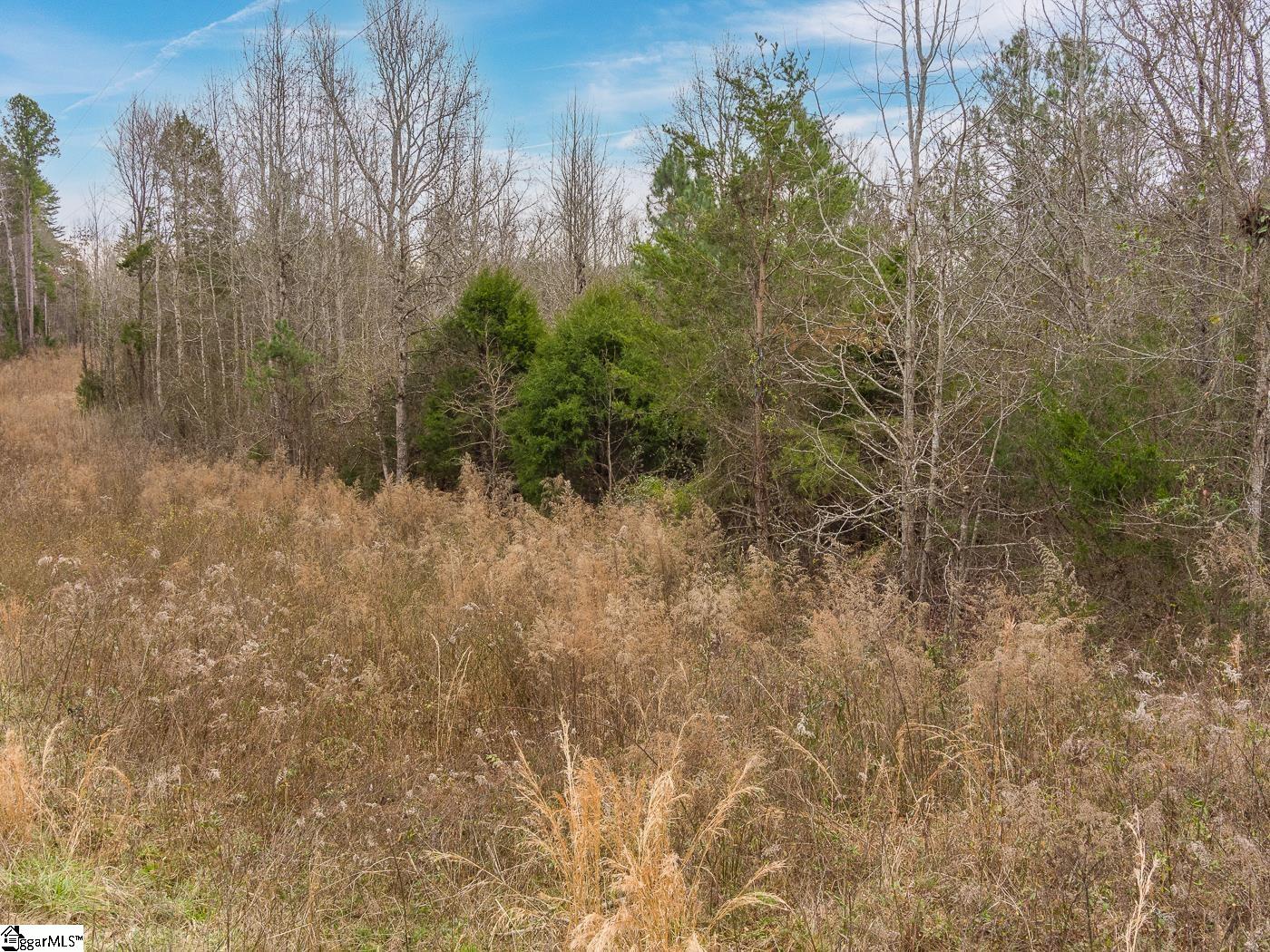 Cowpens Pacolet Road Property Photo 3