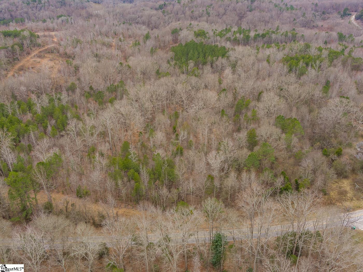 Cowpens Pacolet Road Property Photo 8