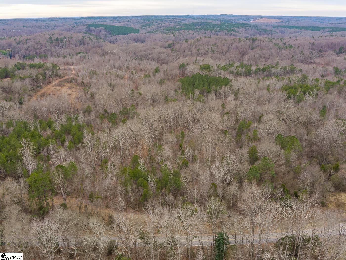 Cowpens Pacolet Road Property Photo 9
